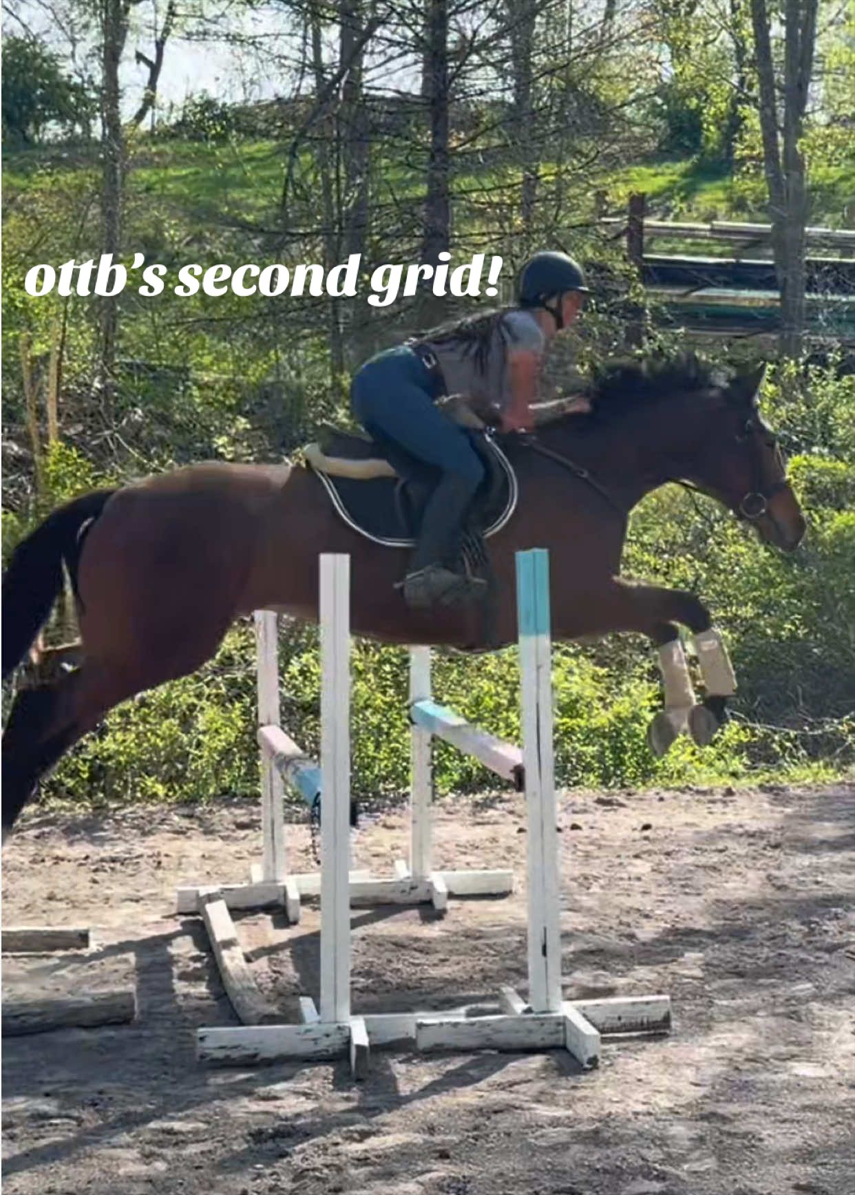 @Lunar Hill Equestrian