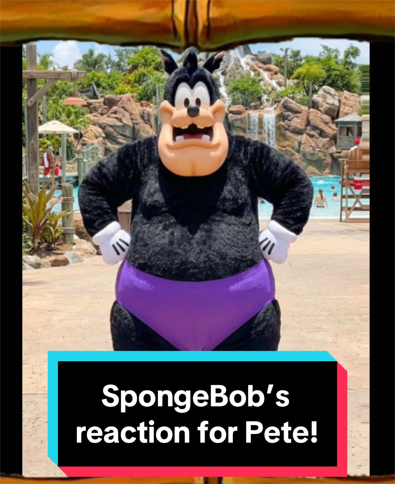 @CallionDisney