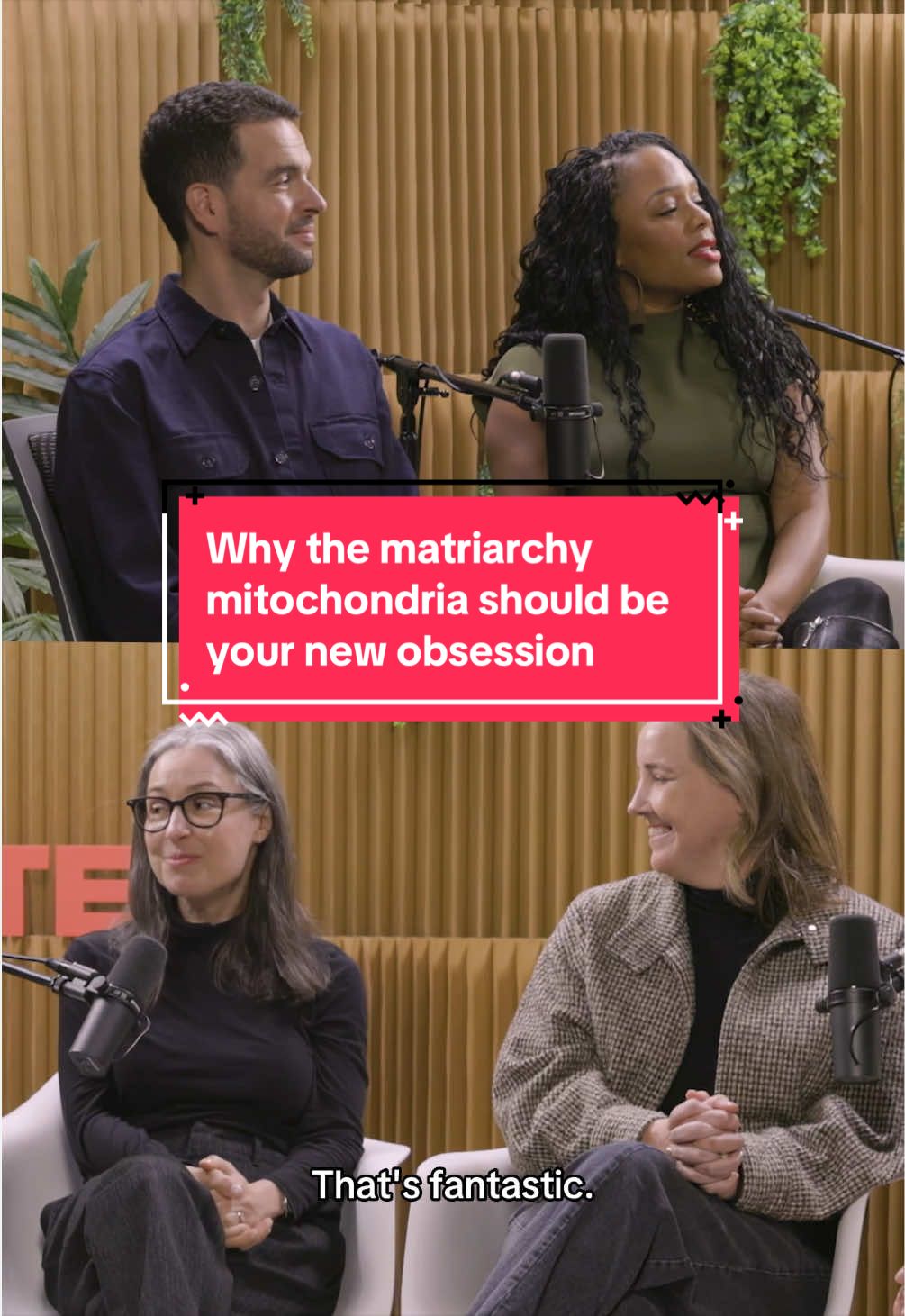 @TED Talks