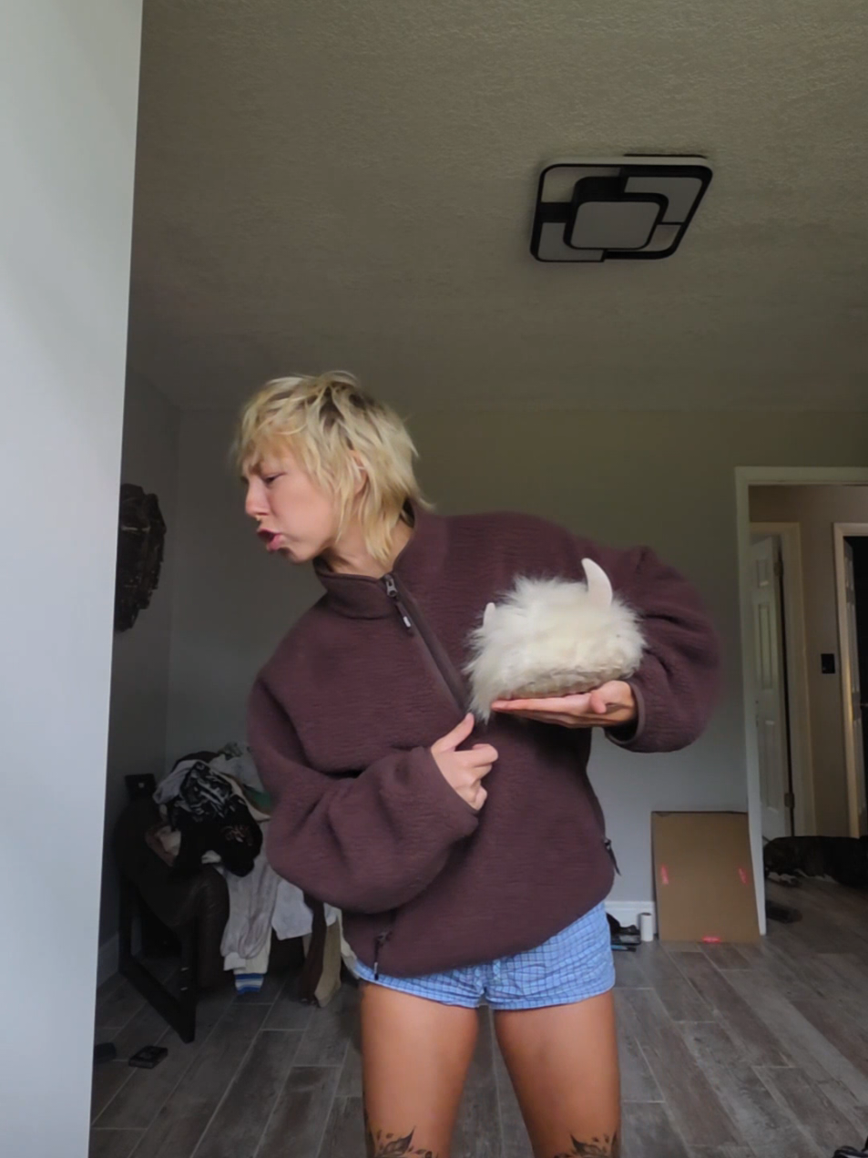 @Steezytour