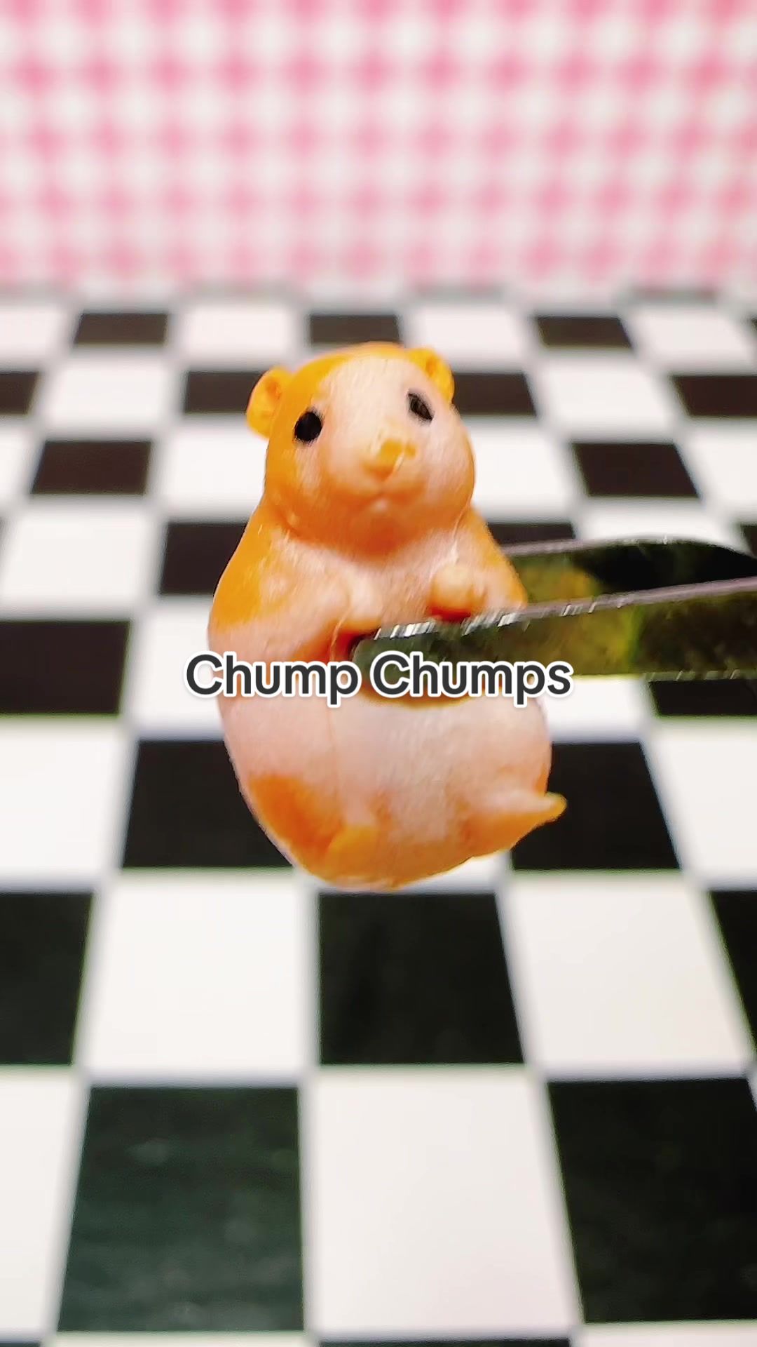 @MuchoMiniverse