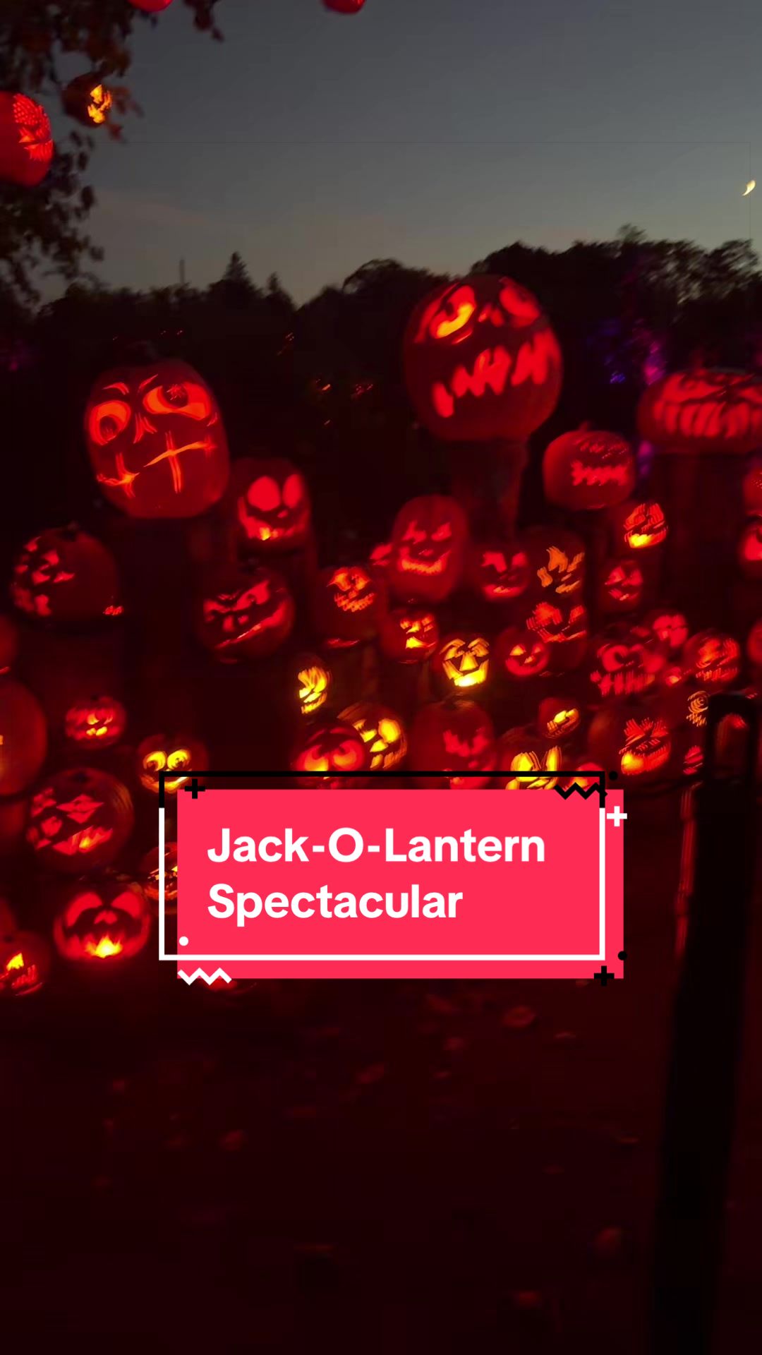 @Deezanimatronics