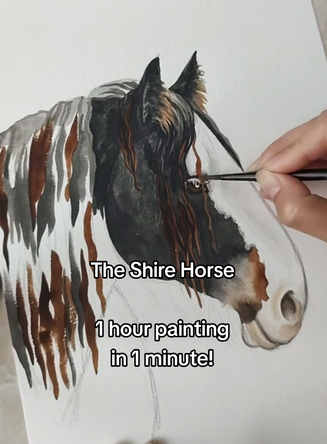@🎨Kate Holloman Art🎨