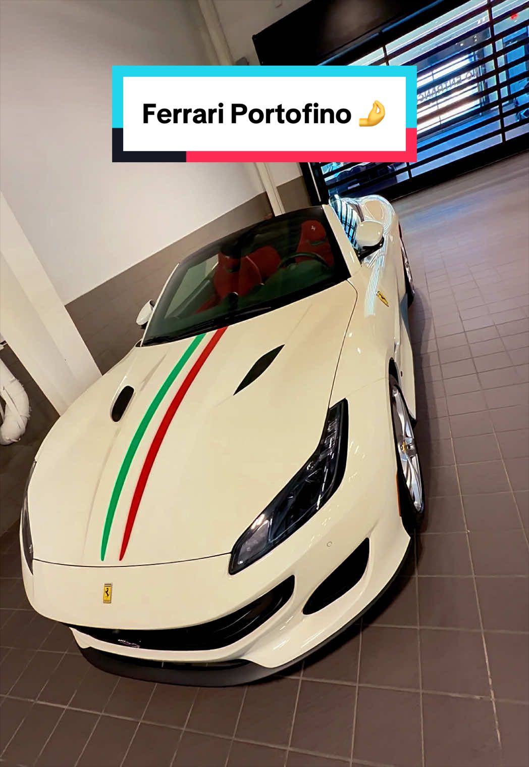 @exotic.trent
