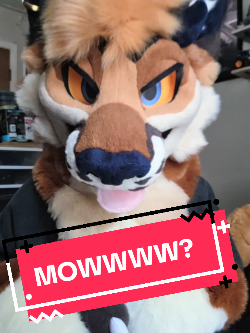 @🌟Orion🔜FURLOWEEN🌟