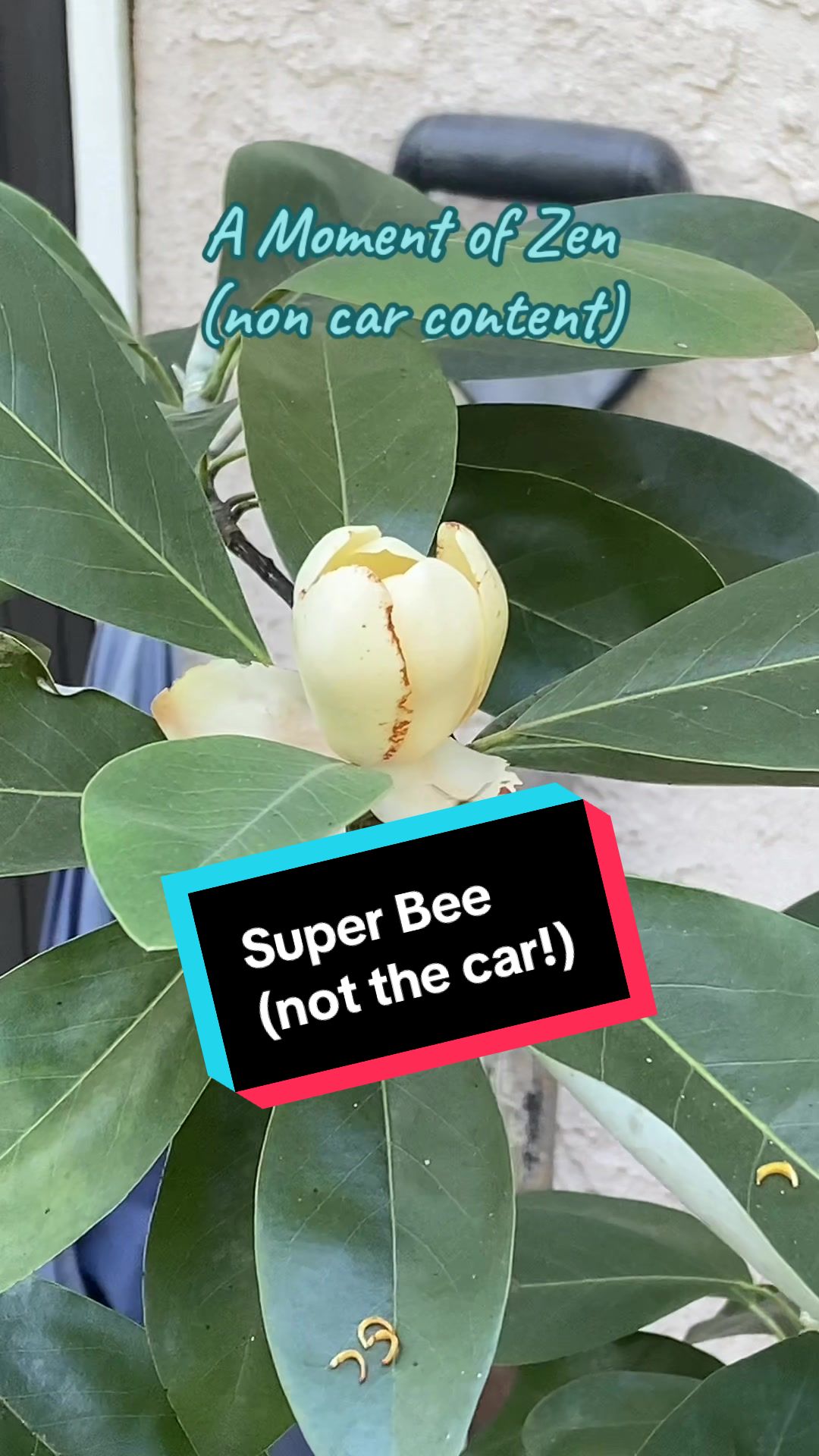 @CarSmarts