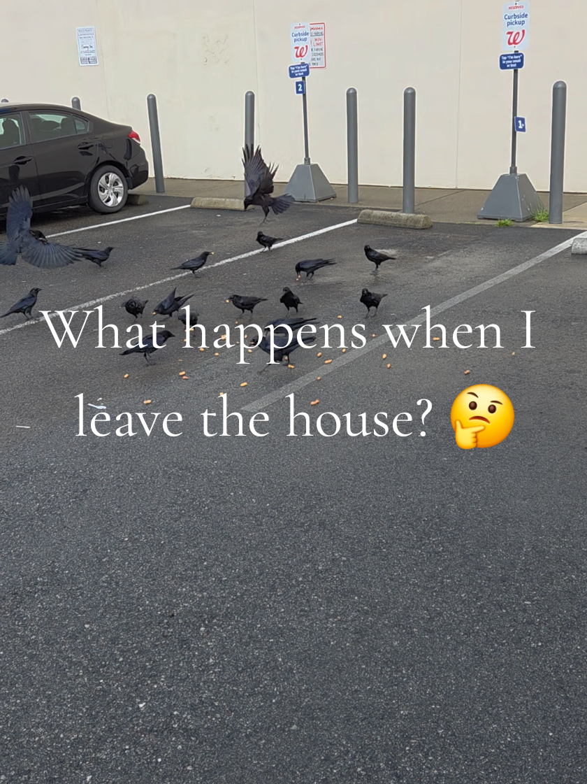 @FeatheryFilms