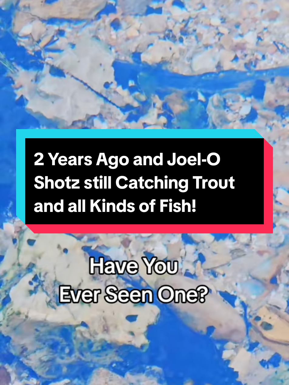 @Joel-O Shotz Fish Bait