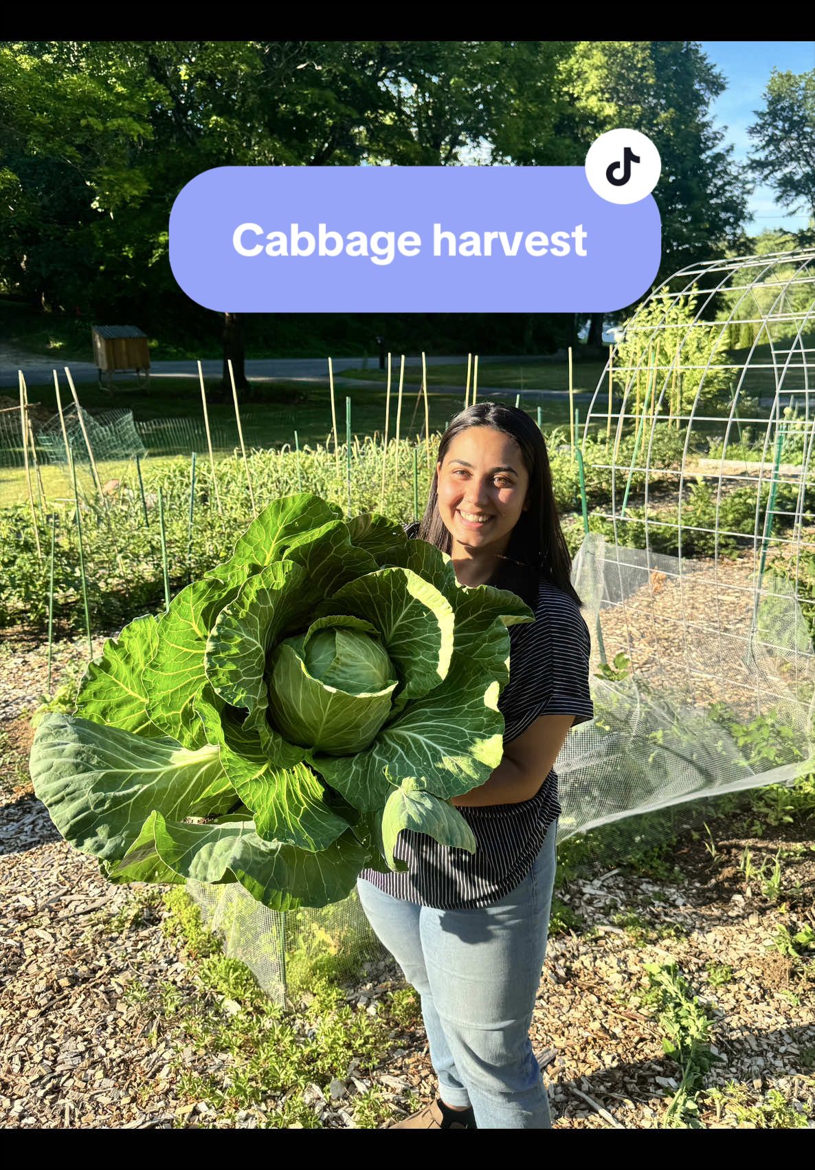 @Manica | zone 6a gardener