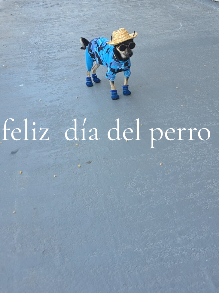 @suleiman 🐕