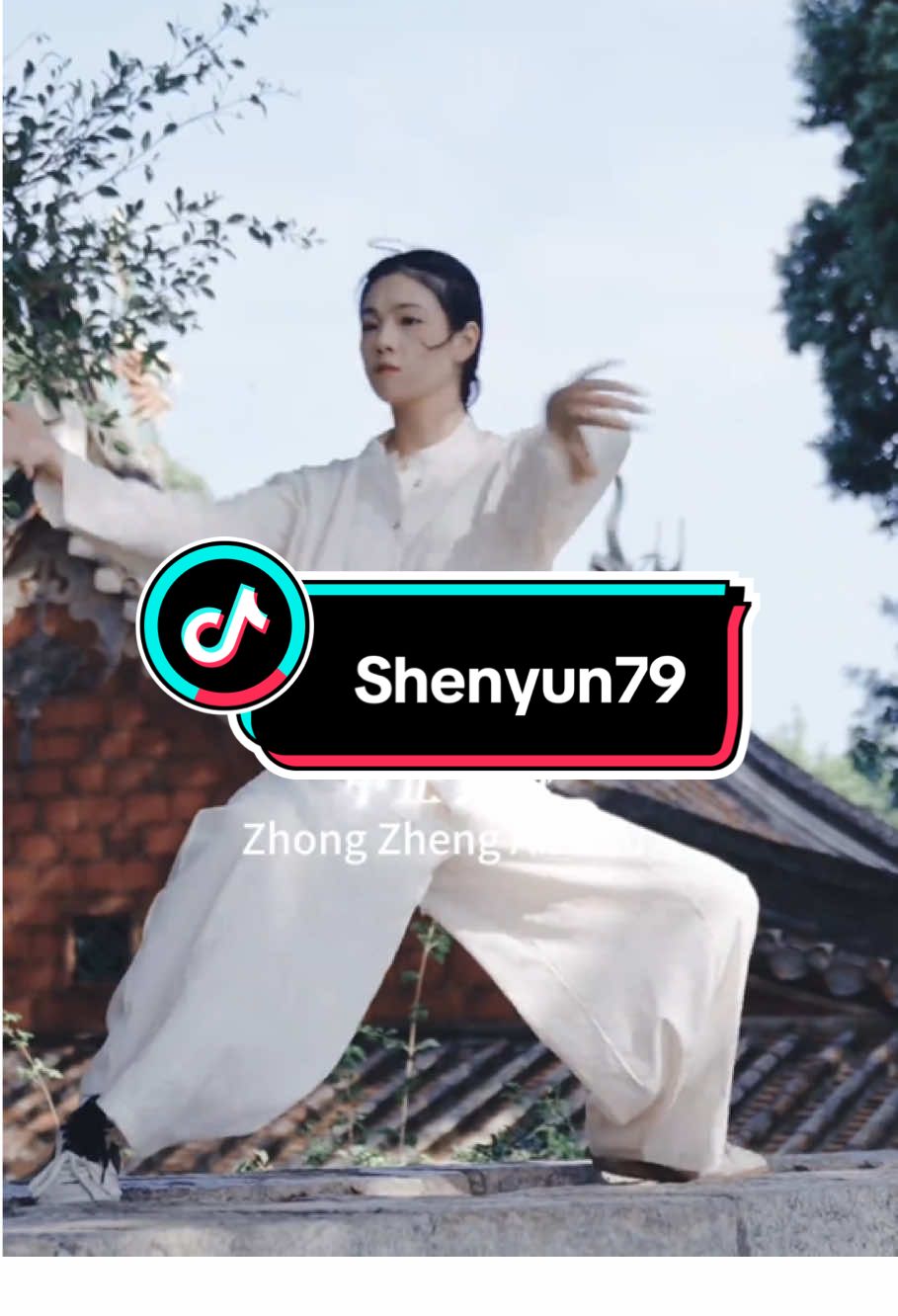 @kungfu shenyun