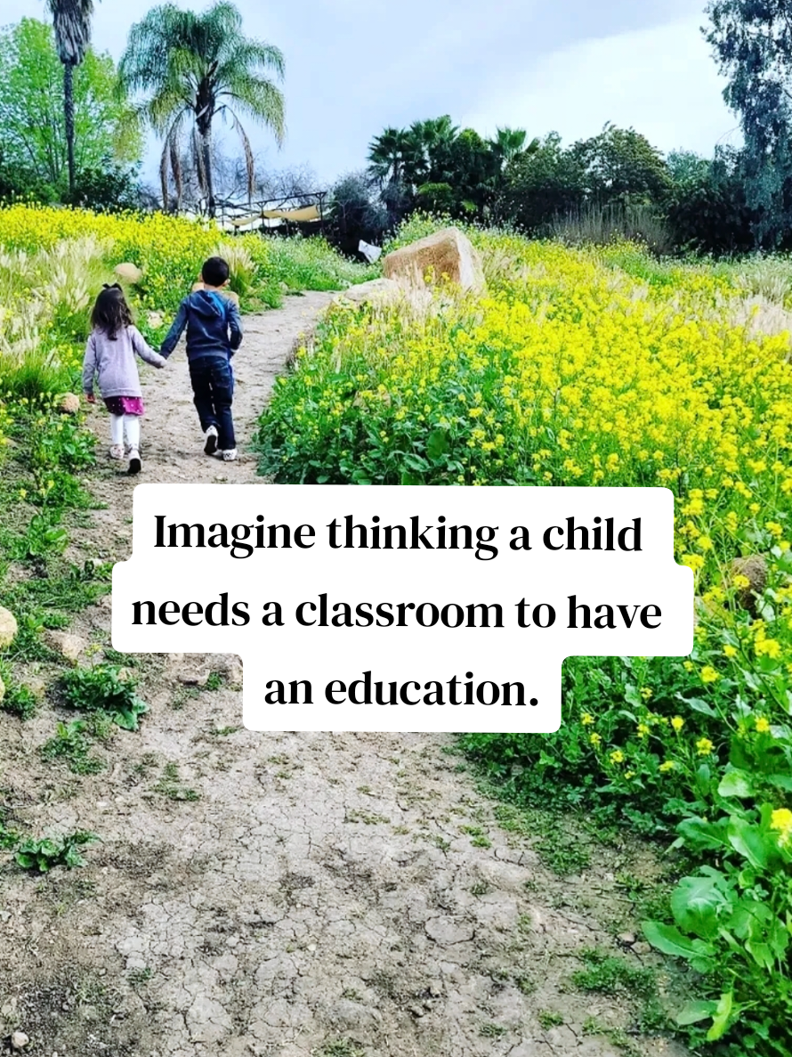 @Lizz | Homeschool Advocate