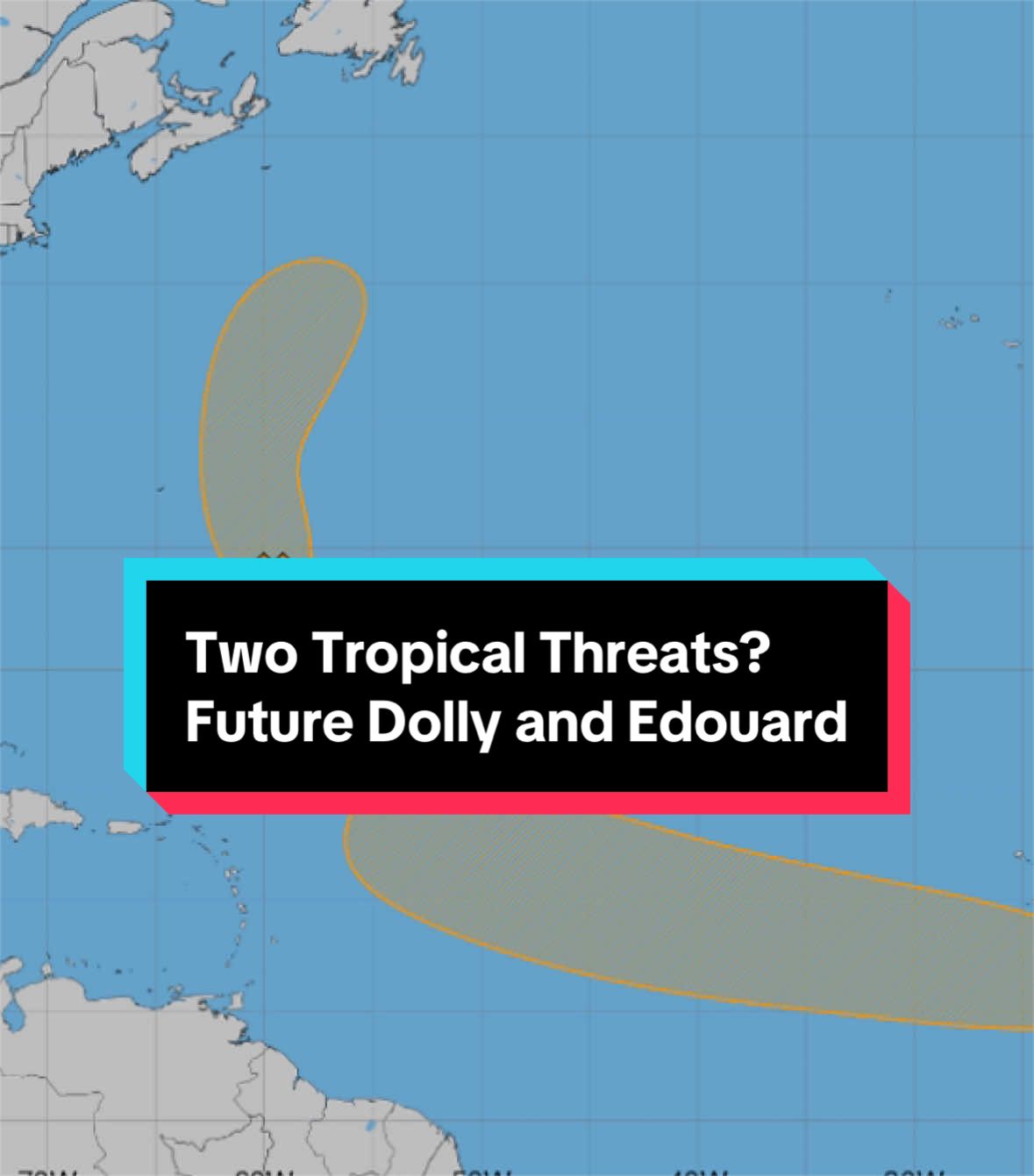 @Andrew Markowitz
