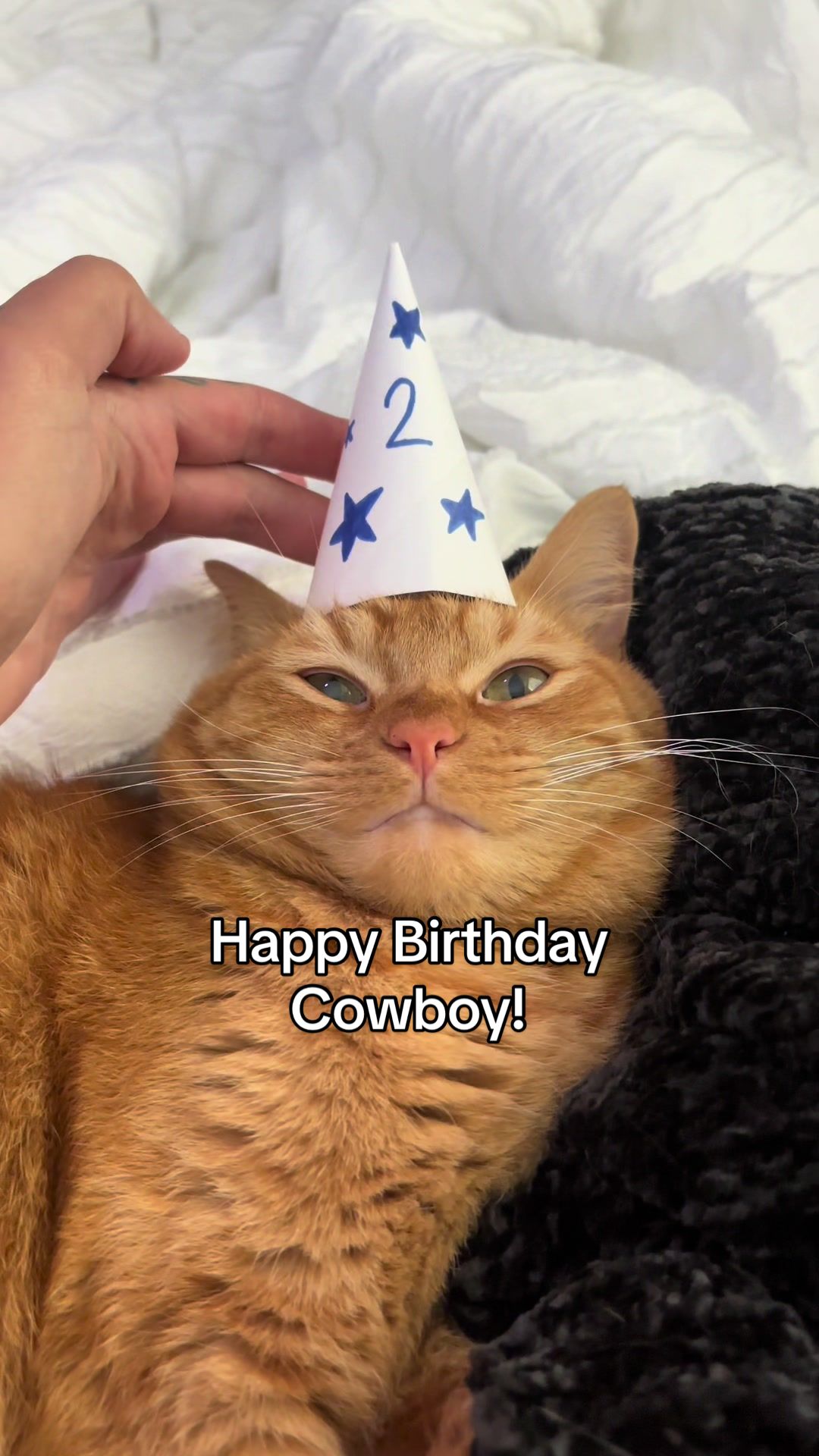 @cowboycatdad