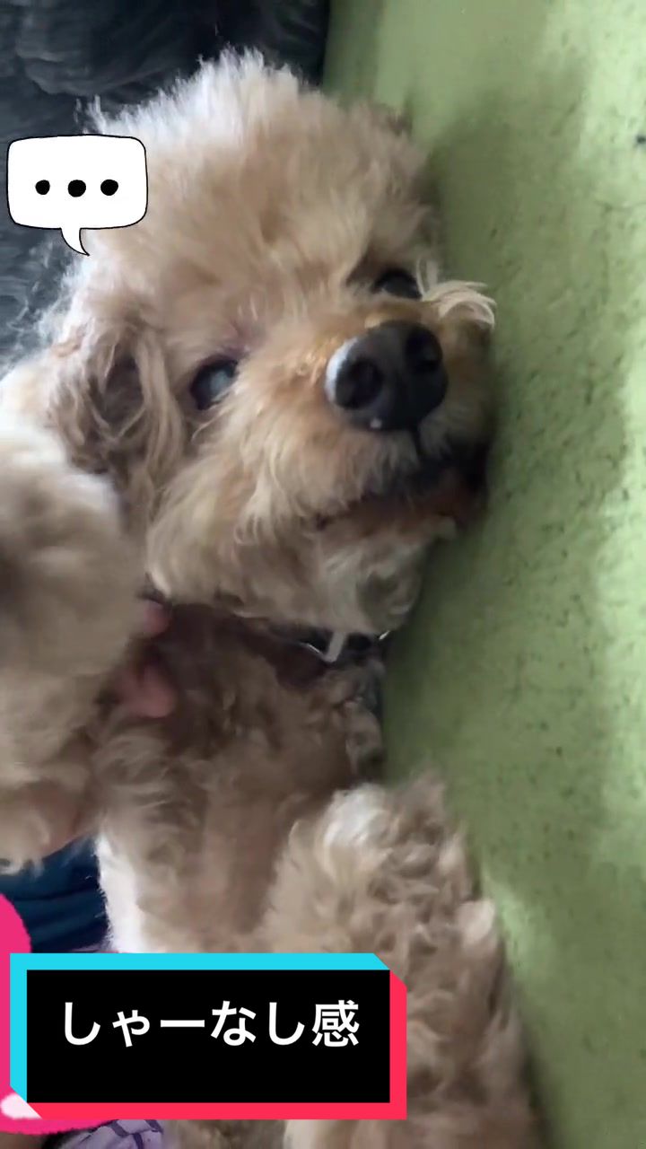 @たこ志