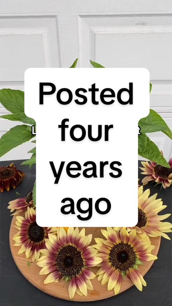 @Rylee&rsquo;s Blooms