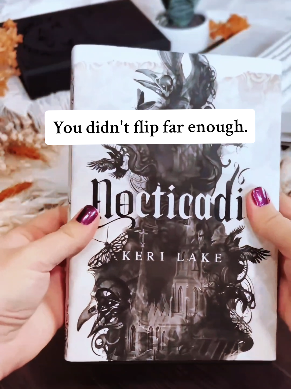 @Lit Haven Booktique