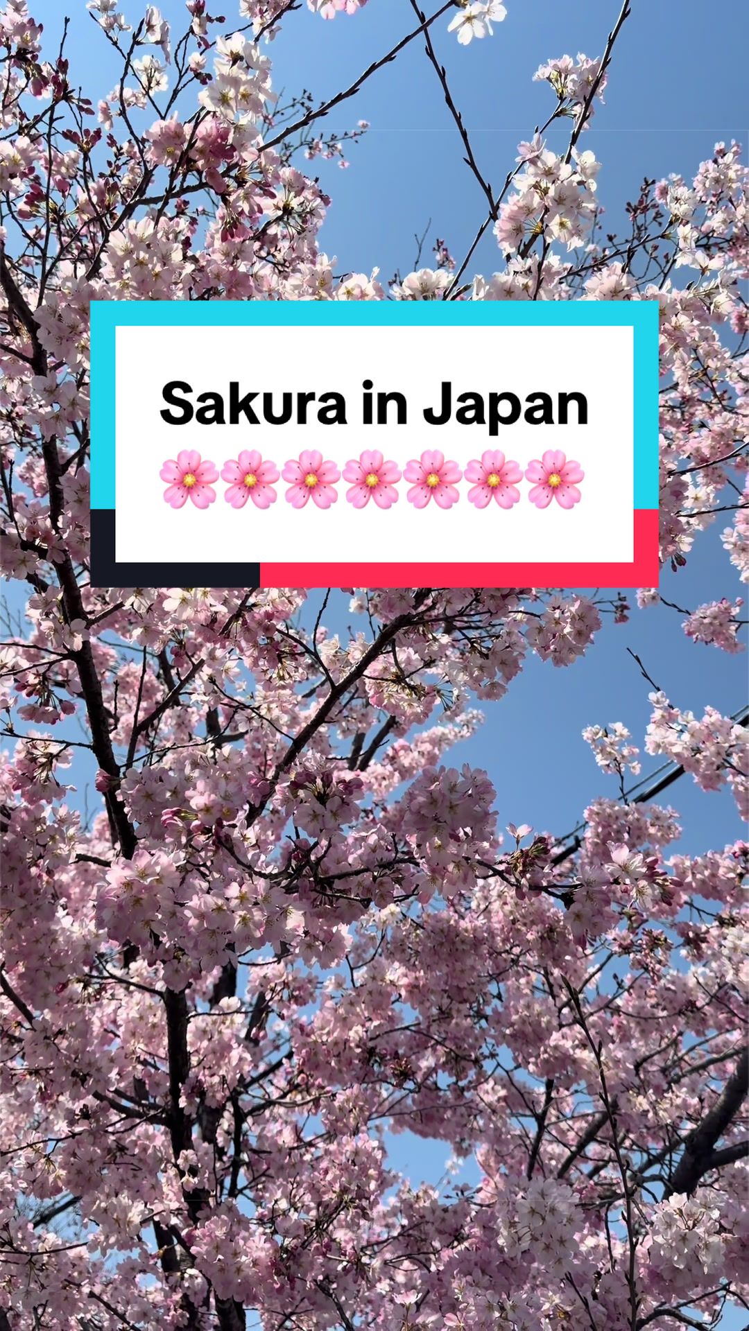 @𝙲𝙰𝚁𝙾𝙻𝙸𝙽𝙰