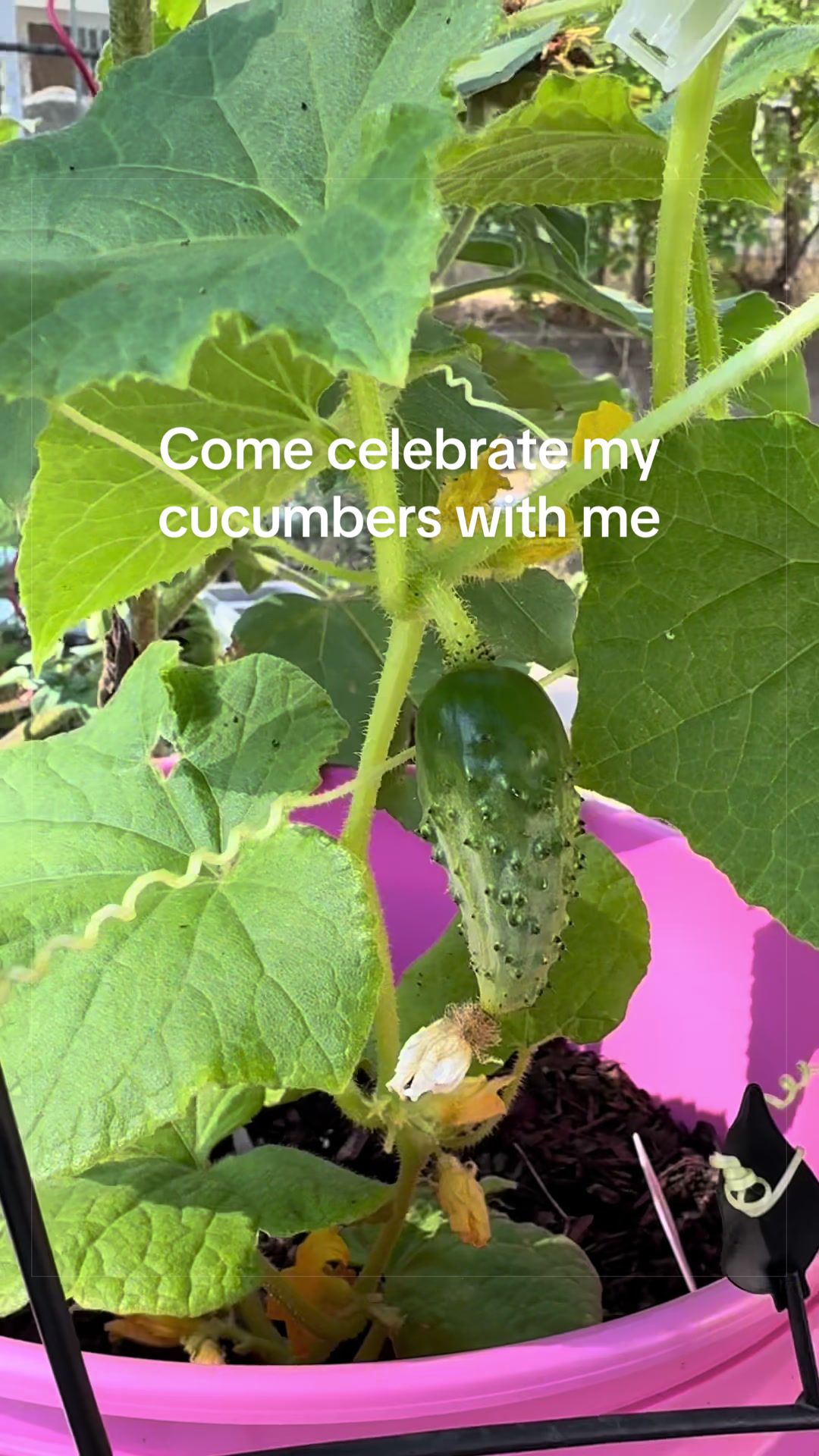 @Amber Garcia