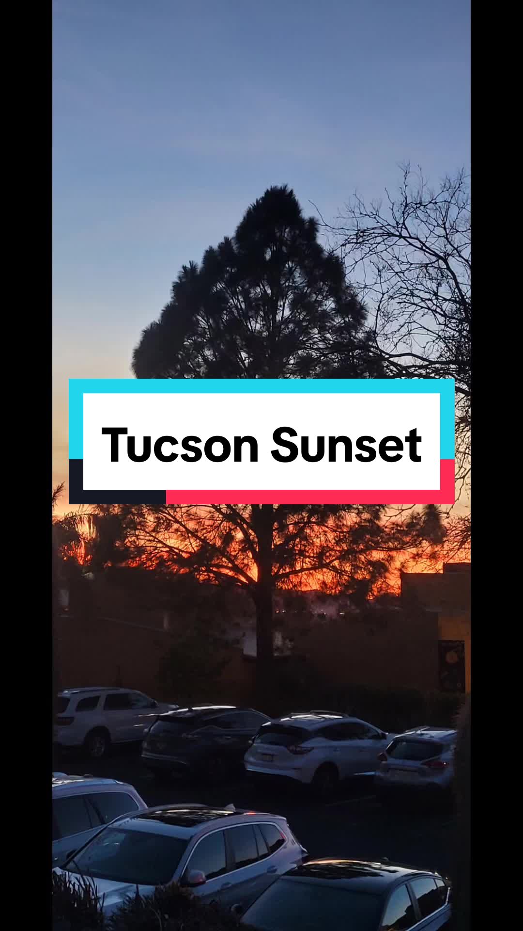 @n.parsons