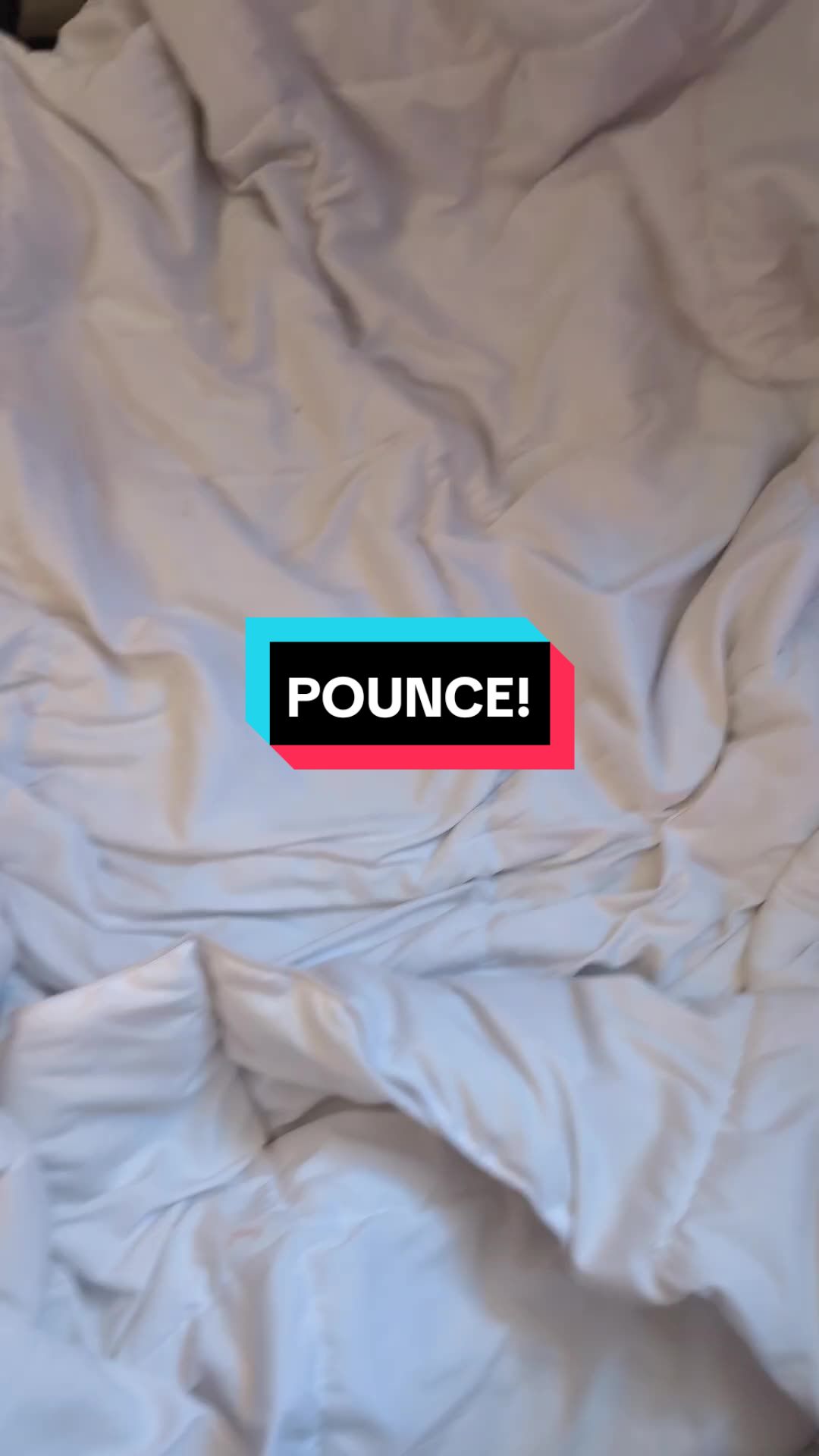 @Tevva