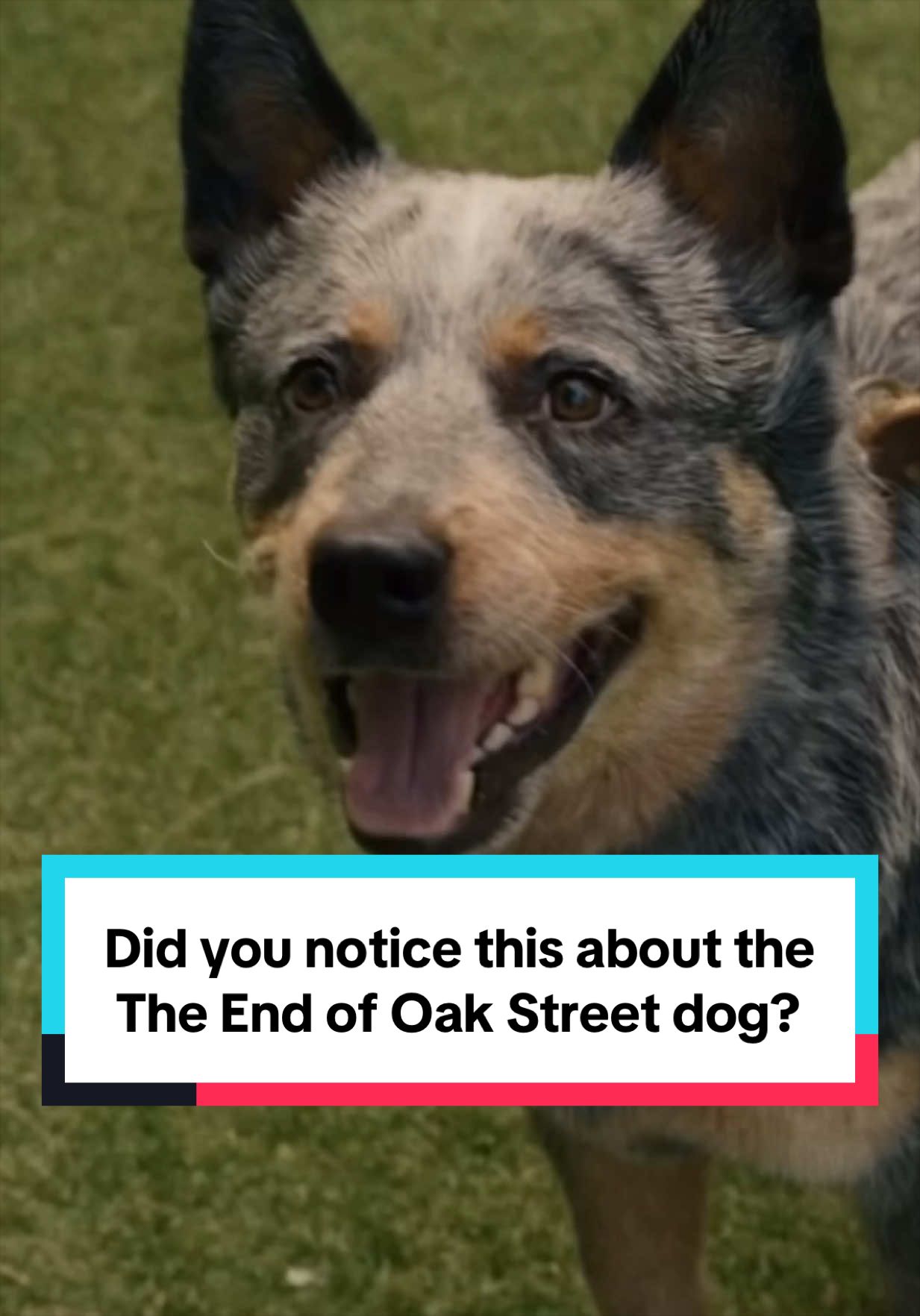 @moviefactspro