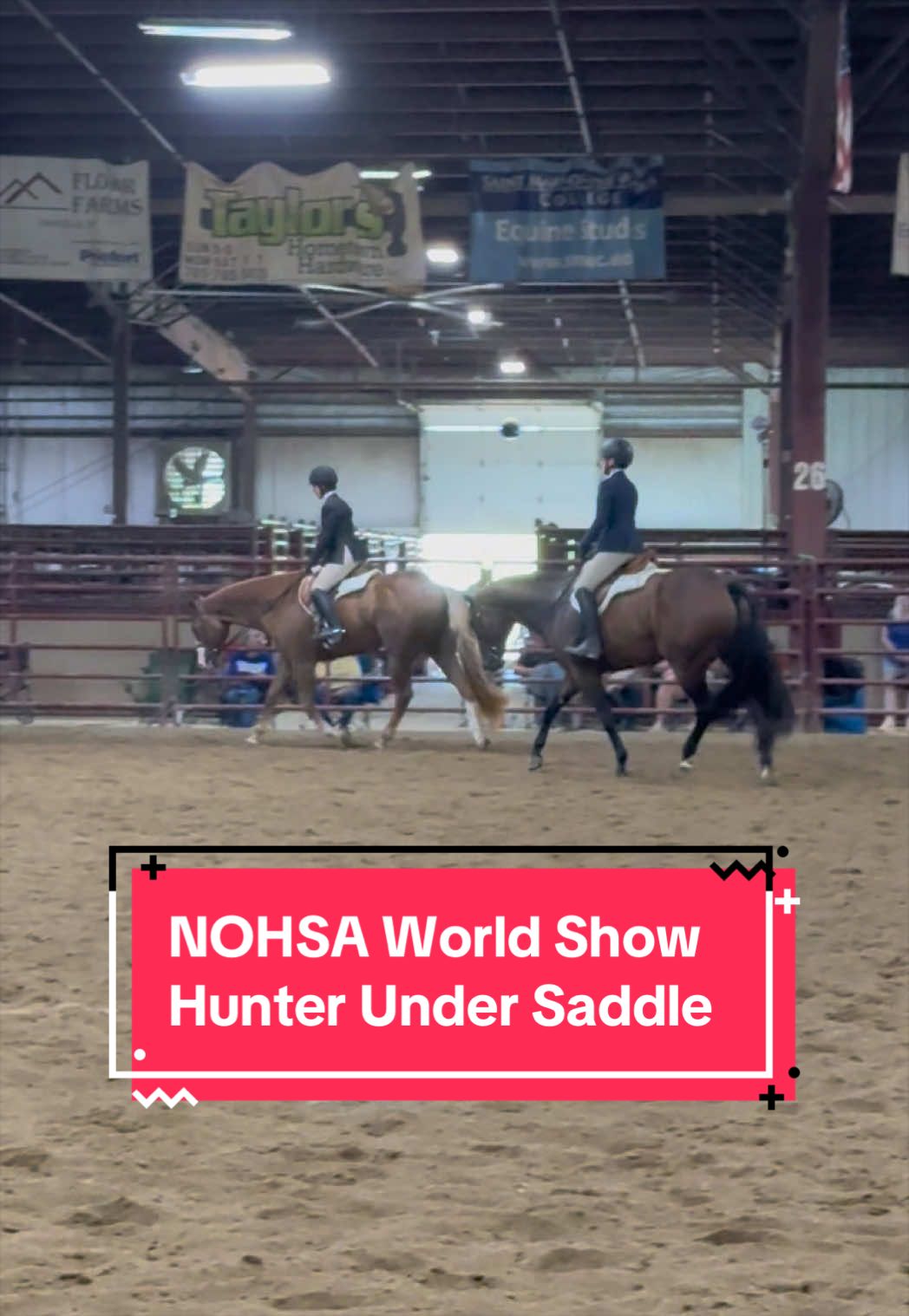 @yourhorseandponyleader