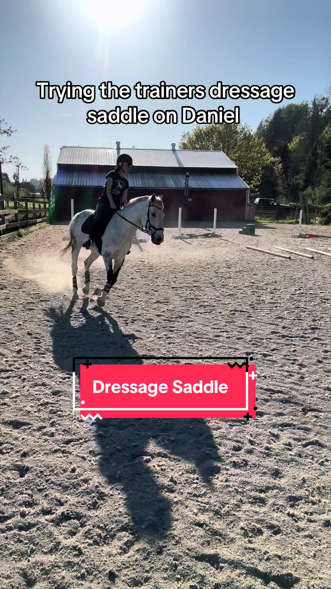 @BlueStarEquestrian