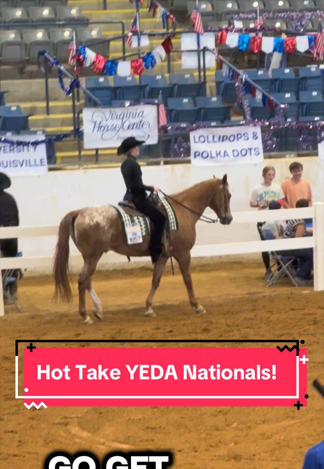 @yourhorseandponyleader