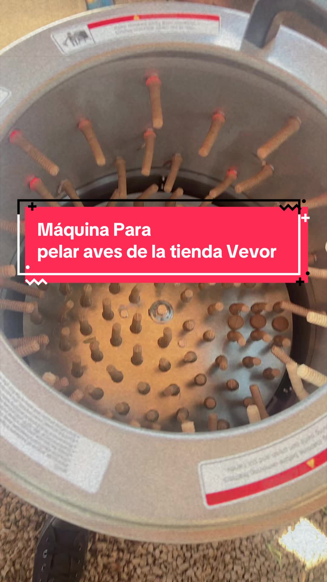 @cubanaporsiempreventas1