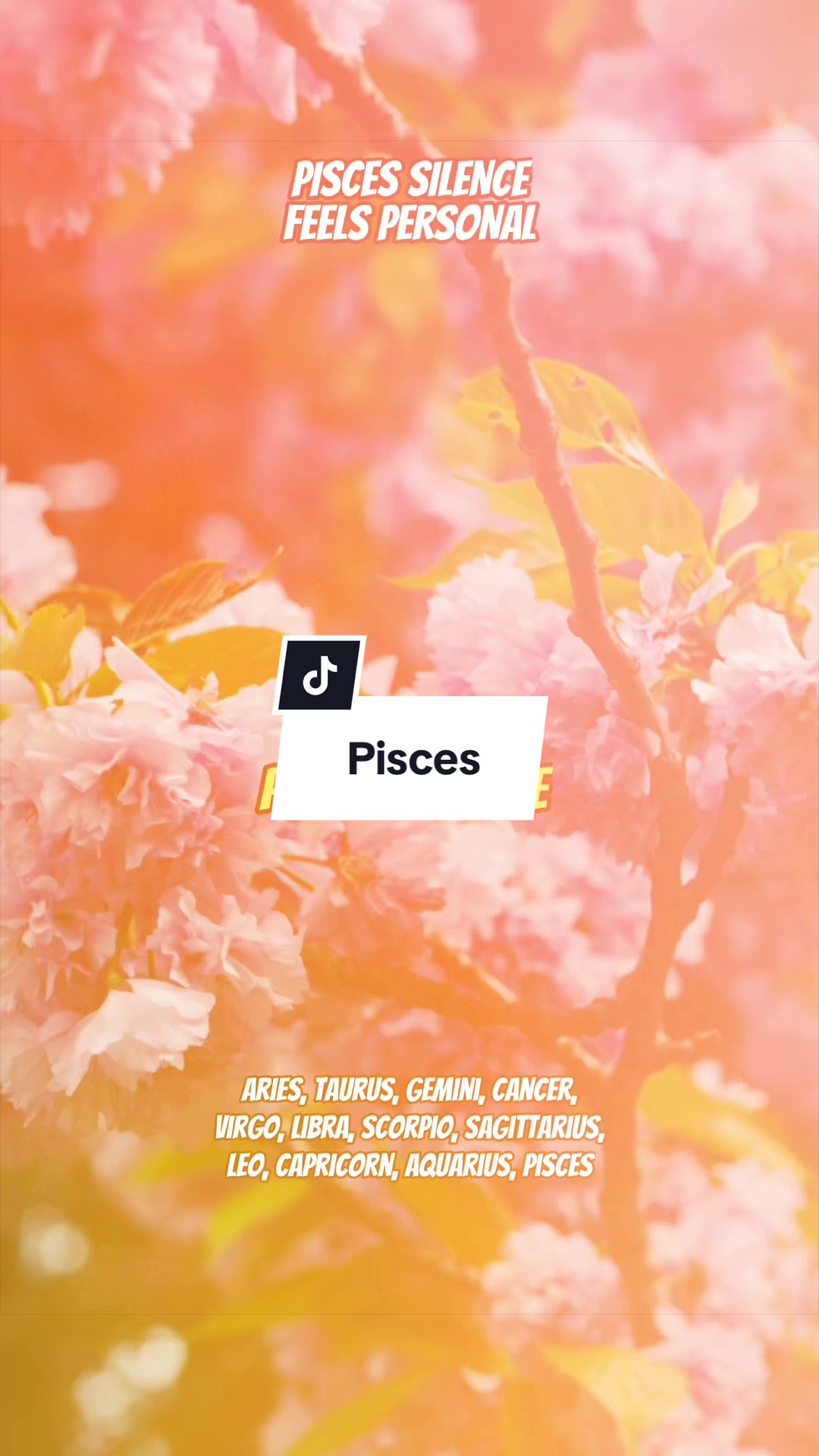 @Zodiac Vibes