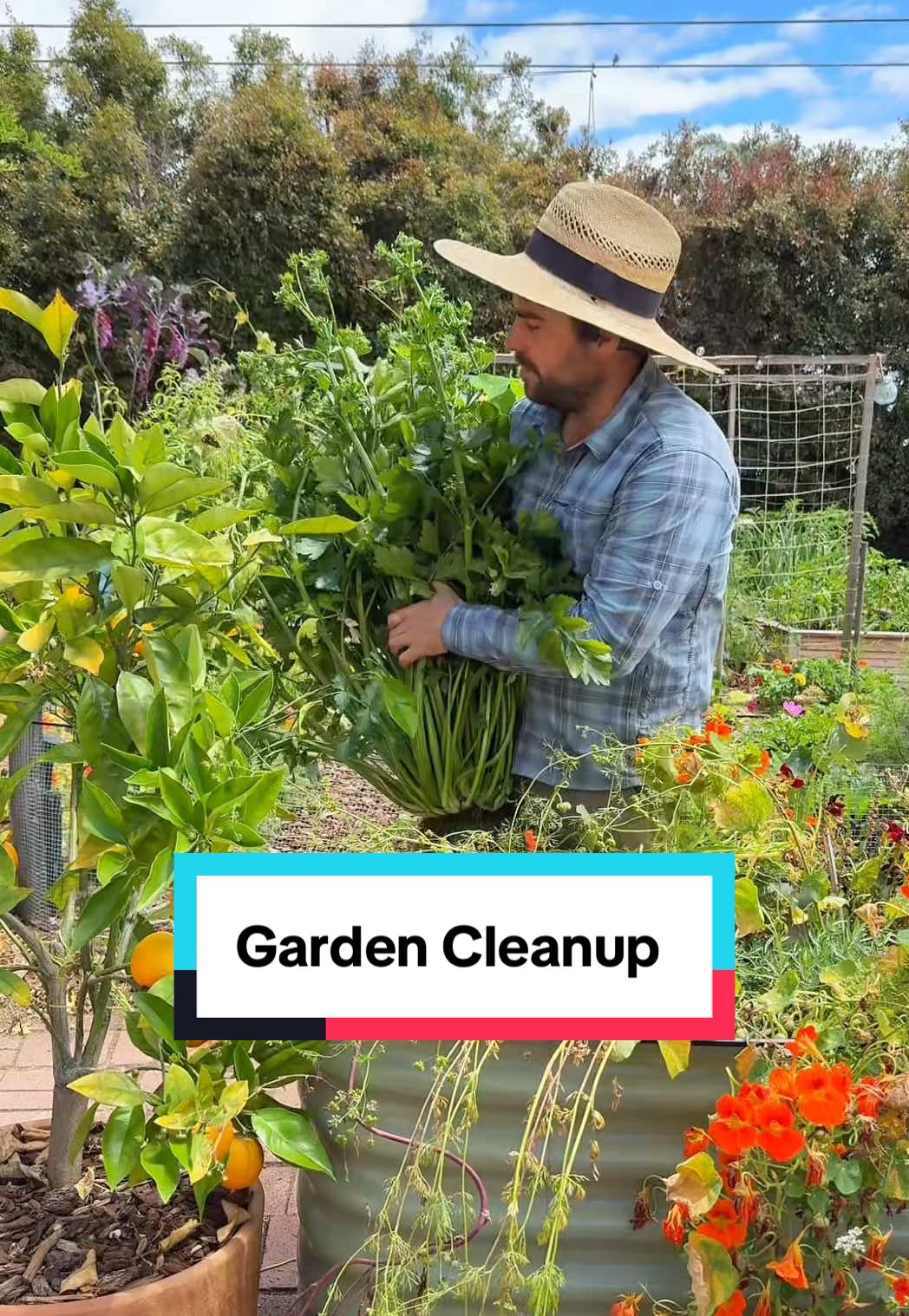 @jacquesinthegarden