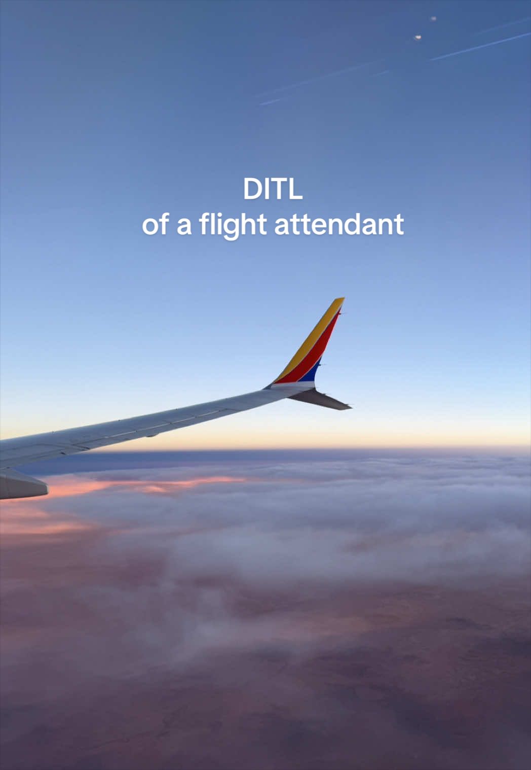@Andrea | Travel Creator