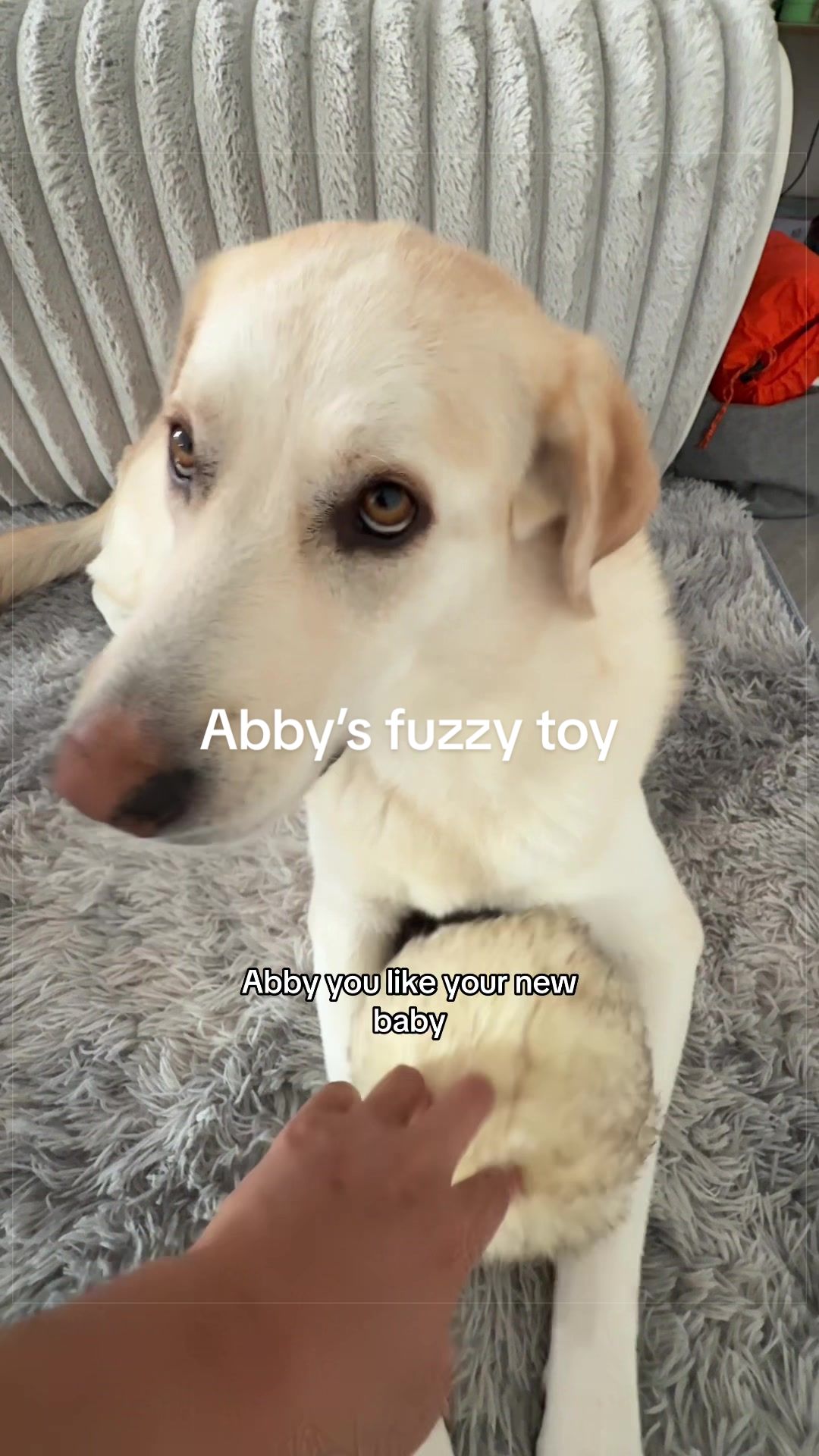 @natehyung