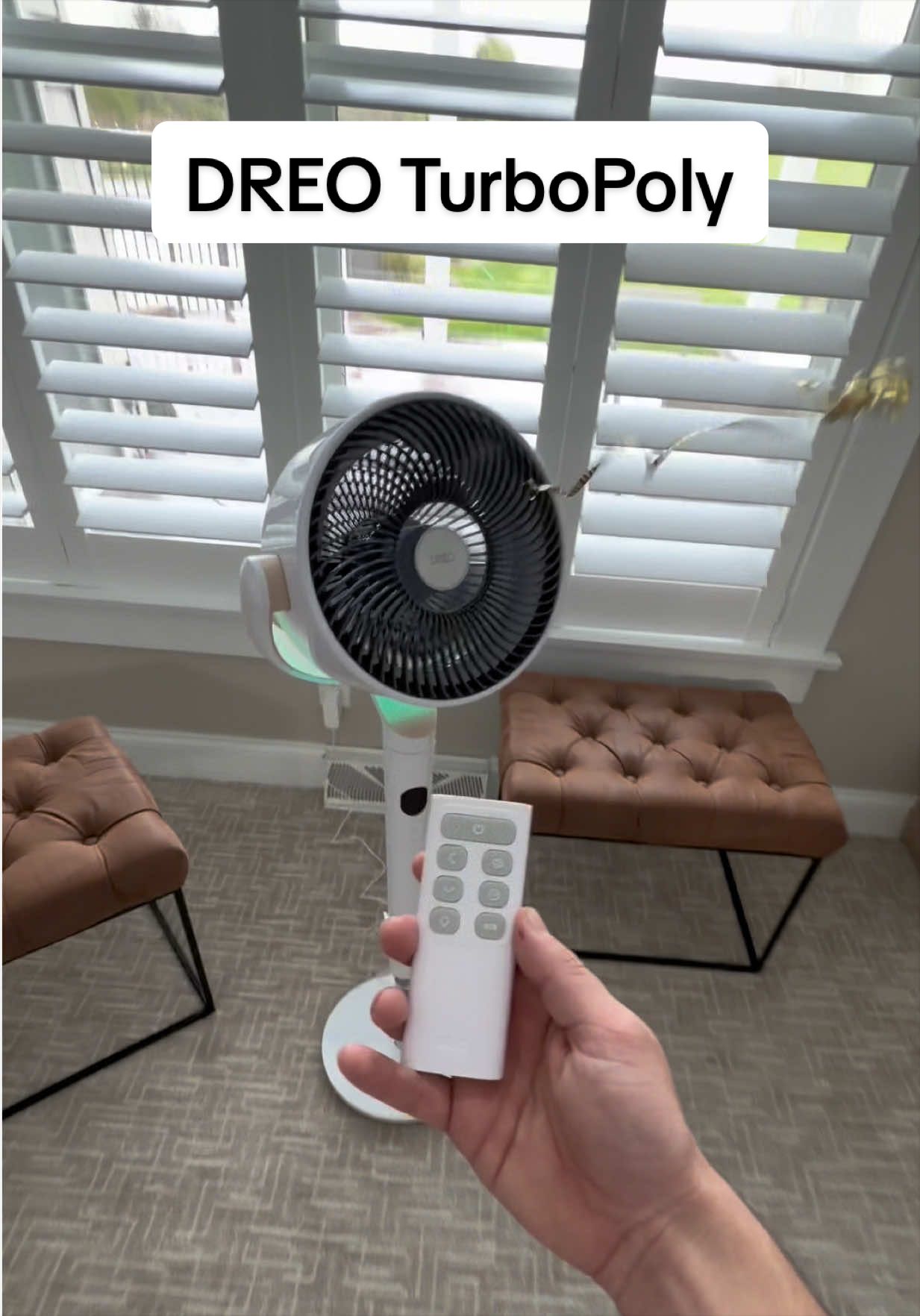 @gav