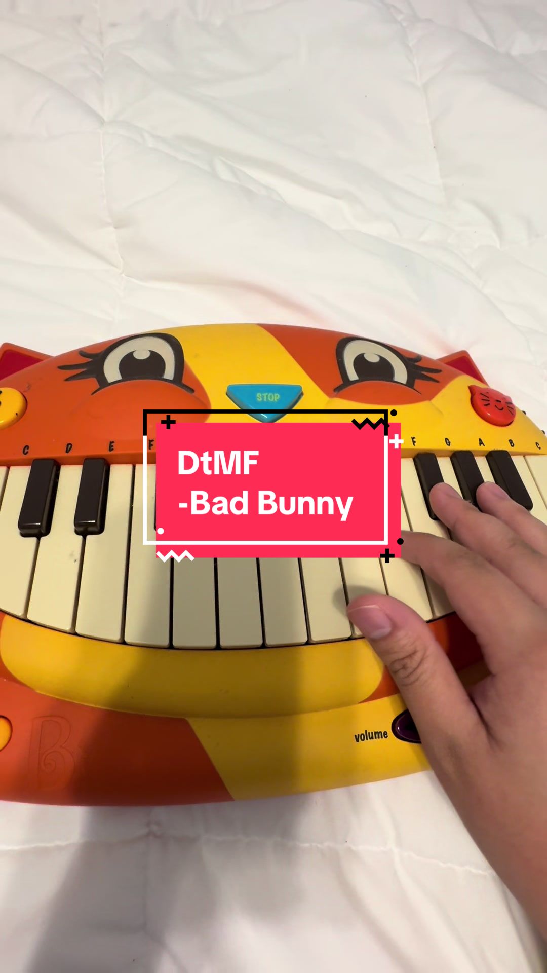 @Dave the Cat Piano