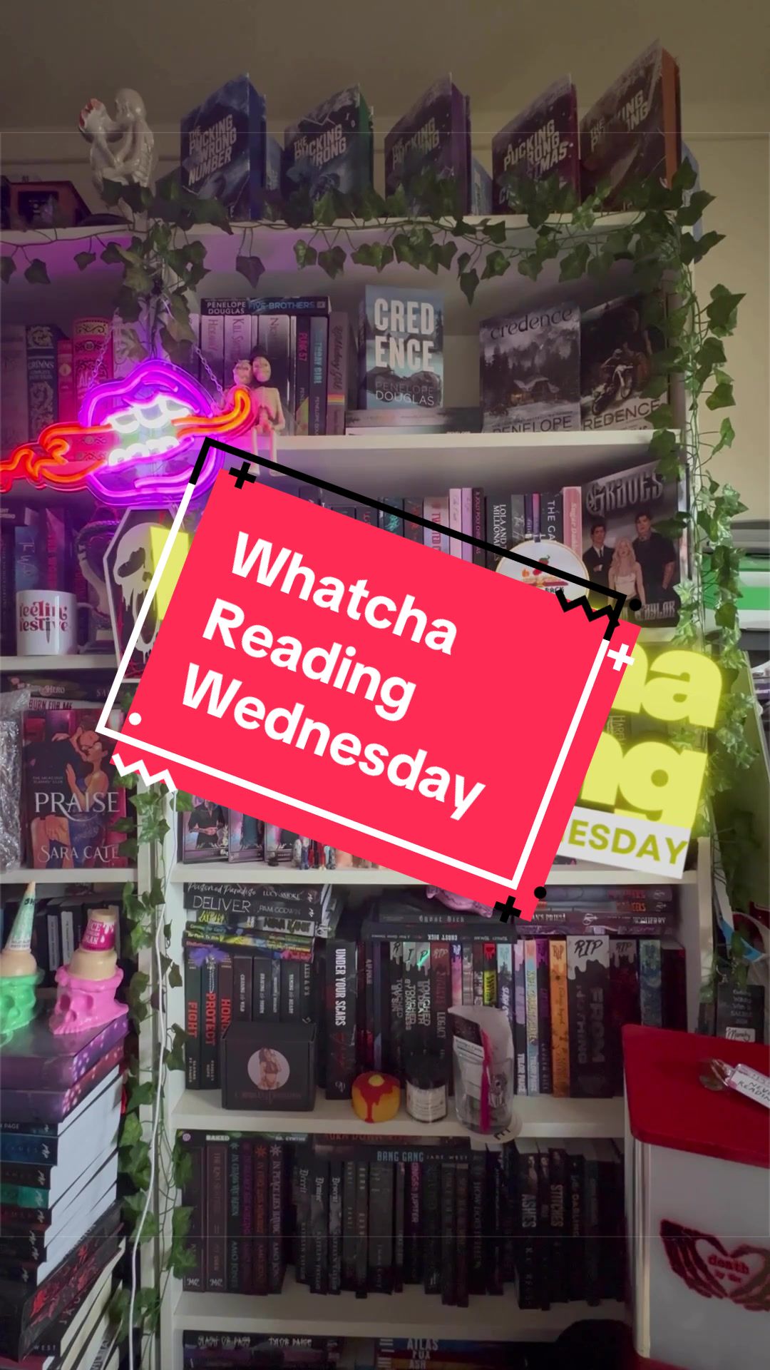@themandysin 📚🦇
