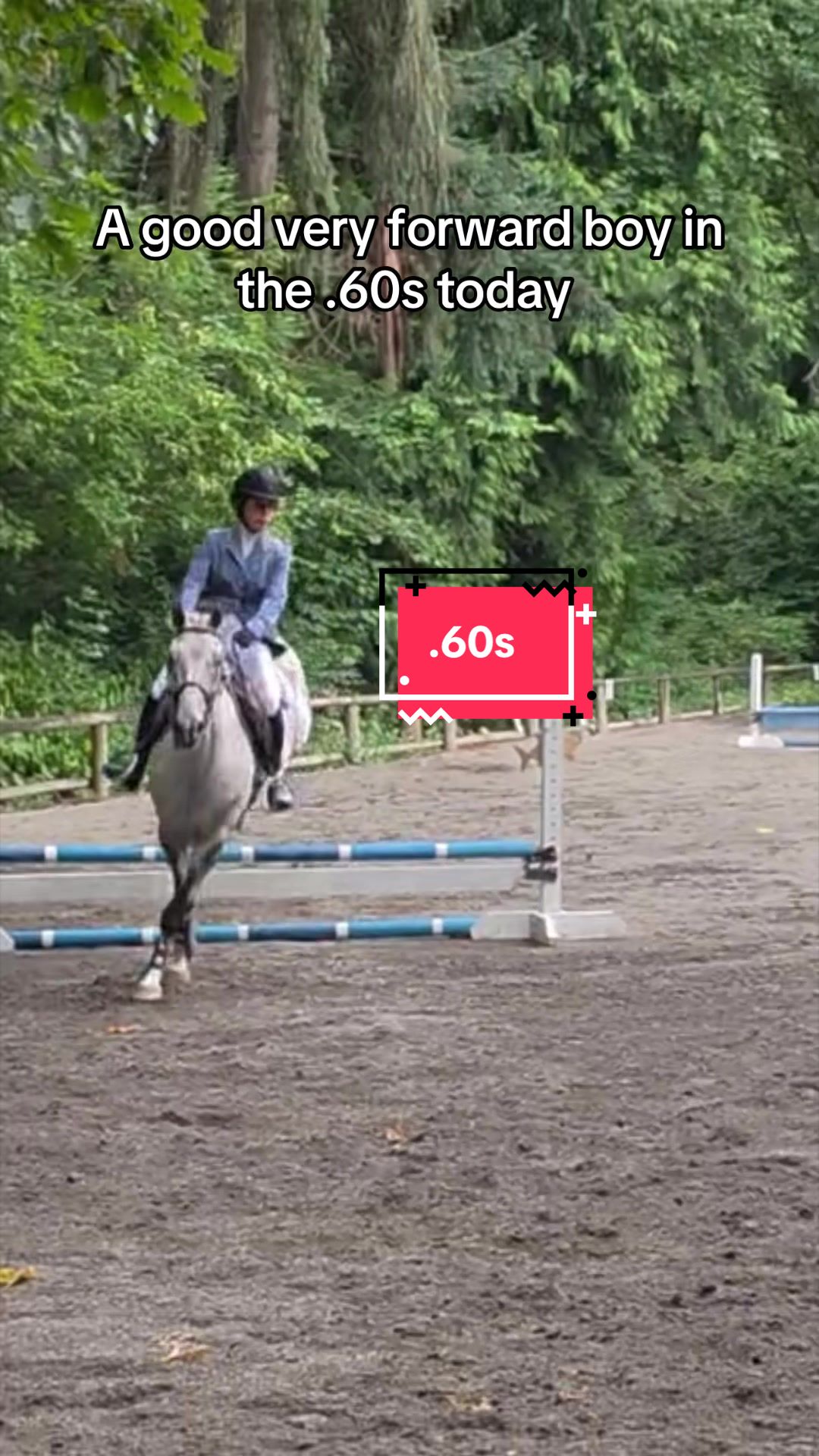 @BlueStarEquestrian