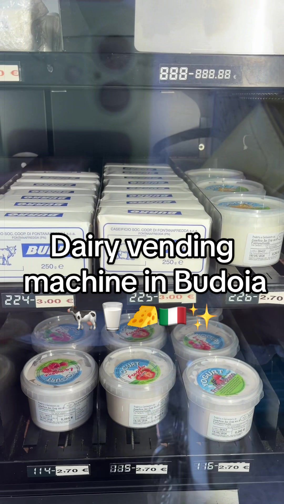 @beeingmontse