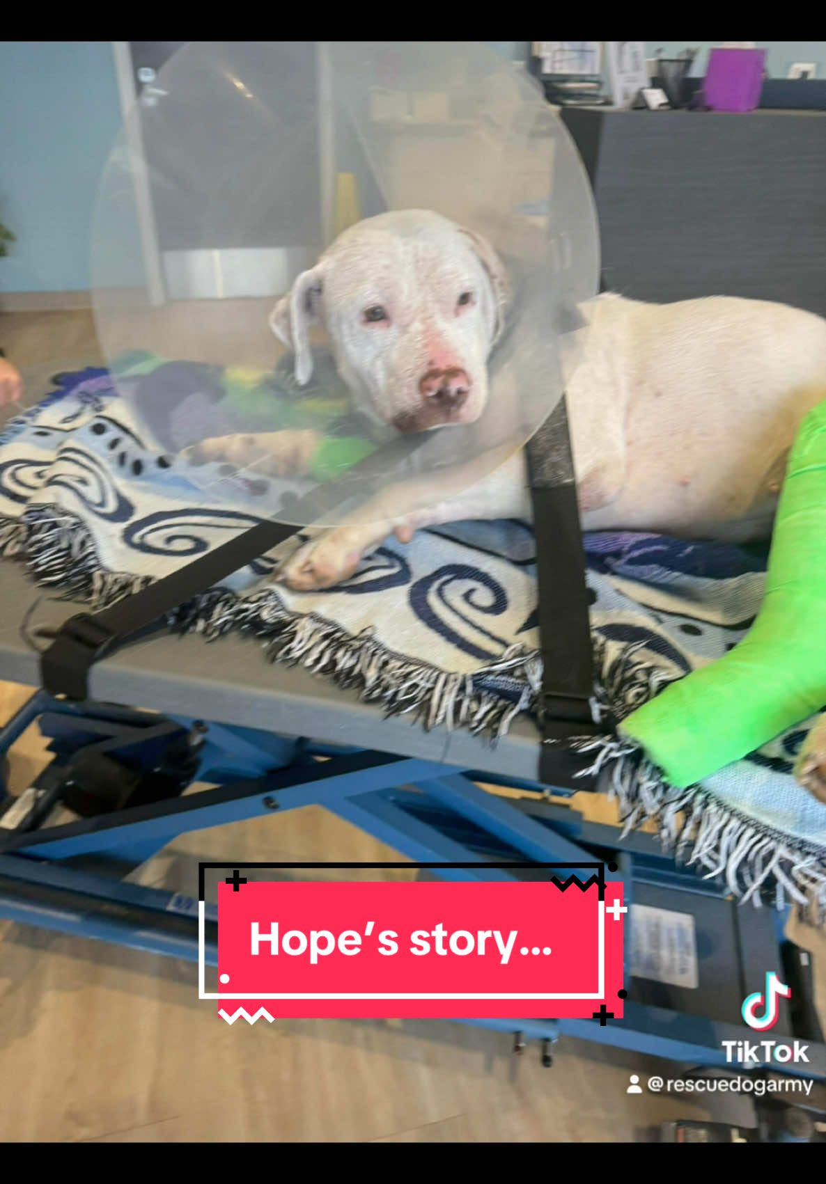 @Rescue Dog Army