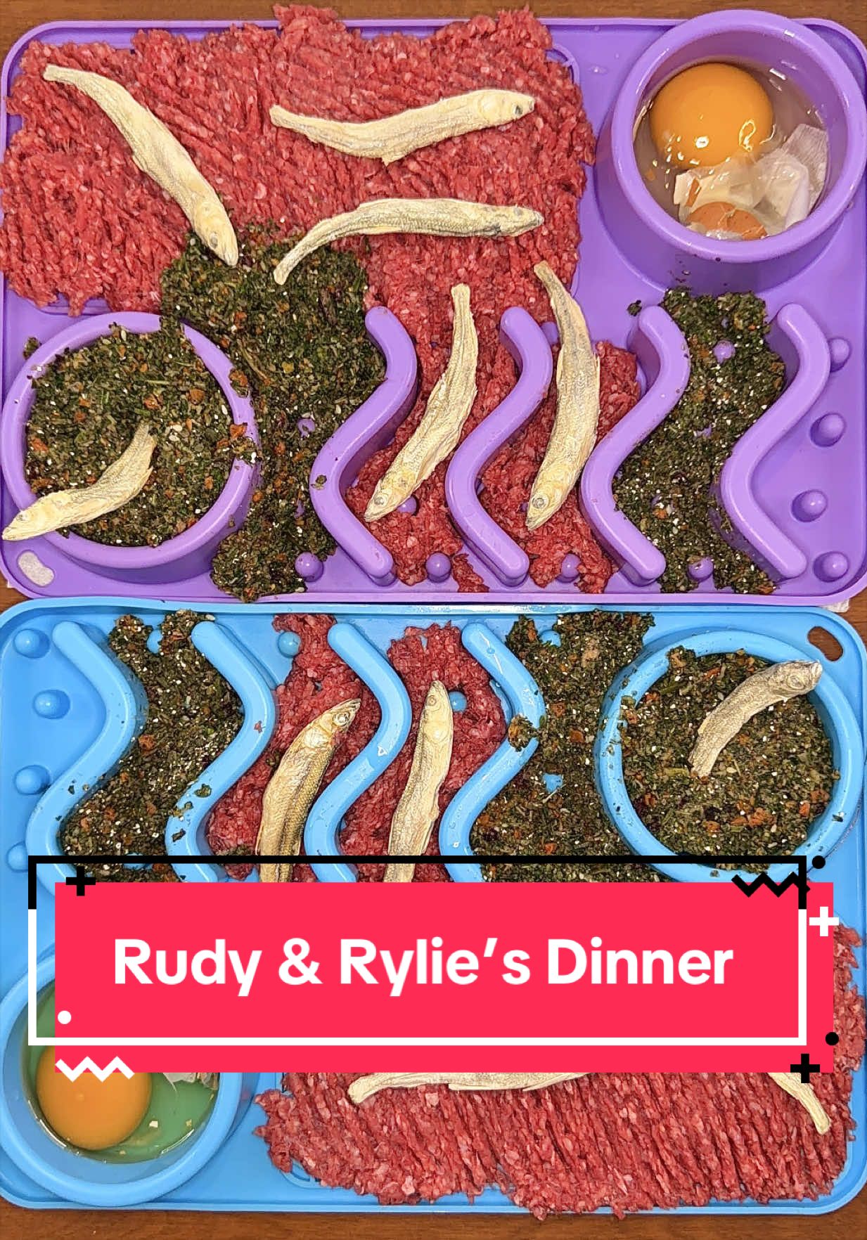 @Kayla Kowalski Nutrition