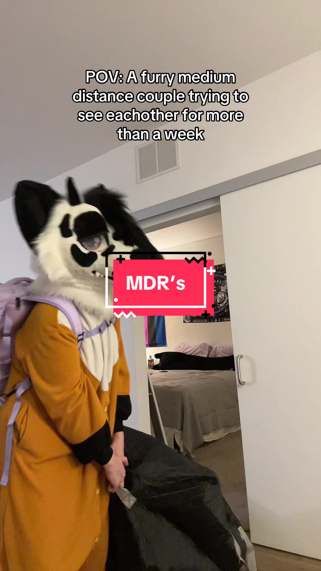 @Tahki the Dino Dog