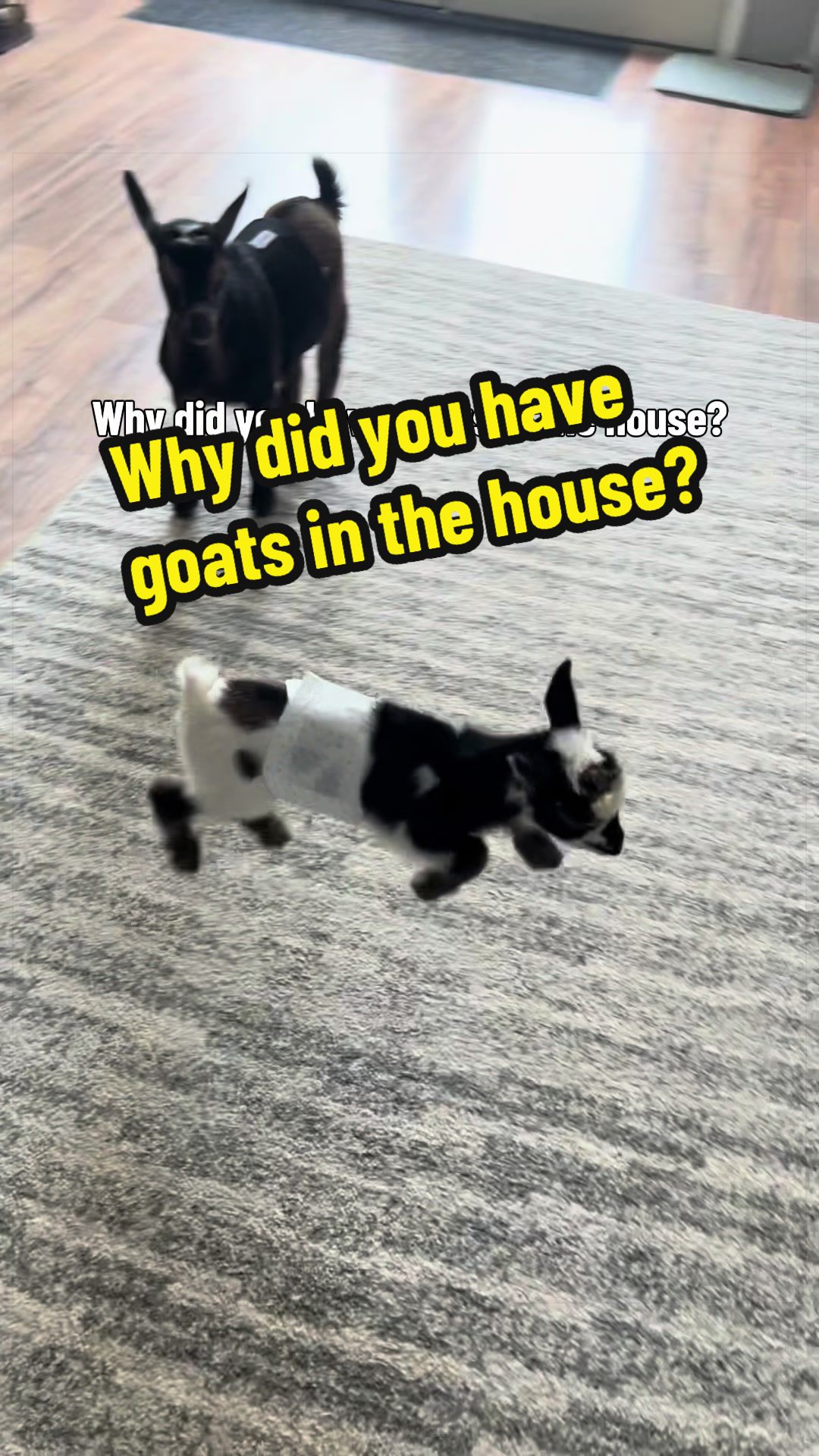 @KidsOnKerth 🐐 Hannah 💀🎃👻