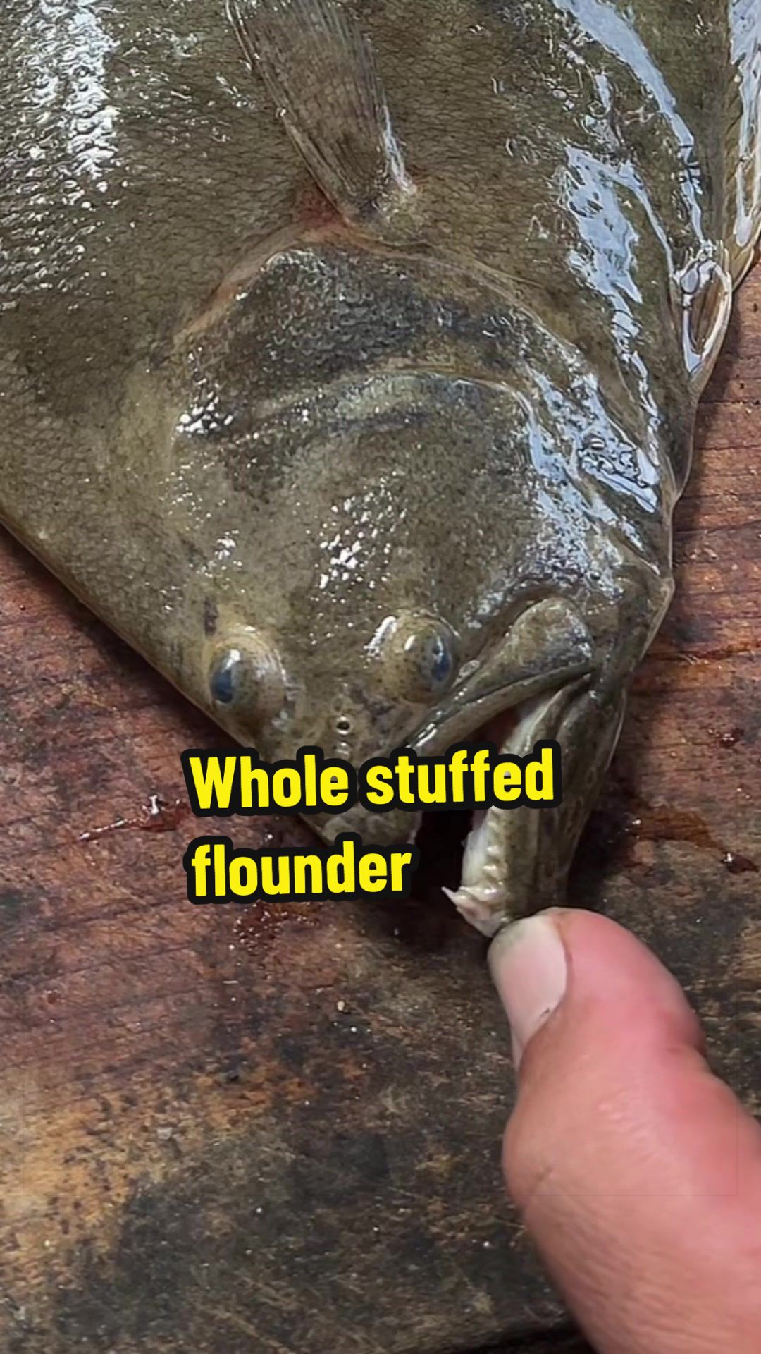 @Wade Fishez