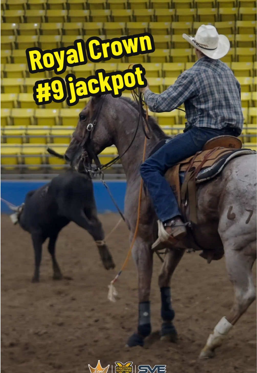 @X Factor Roping