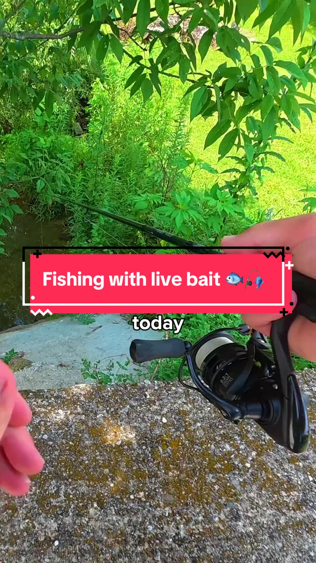 @Dryfly