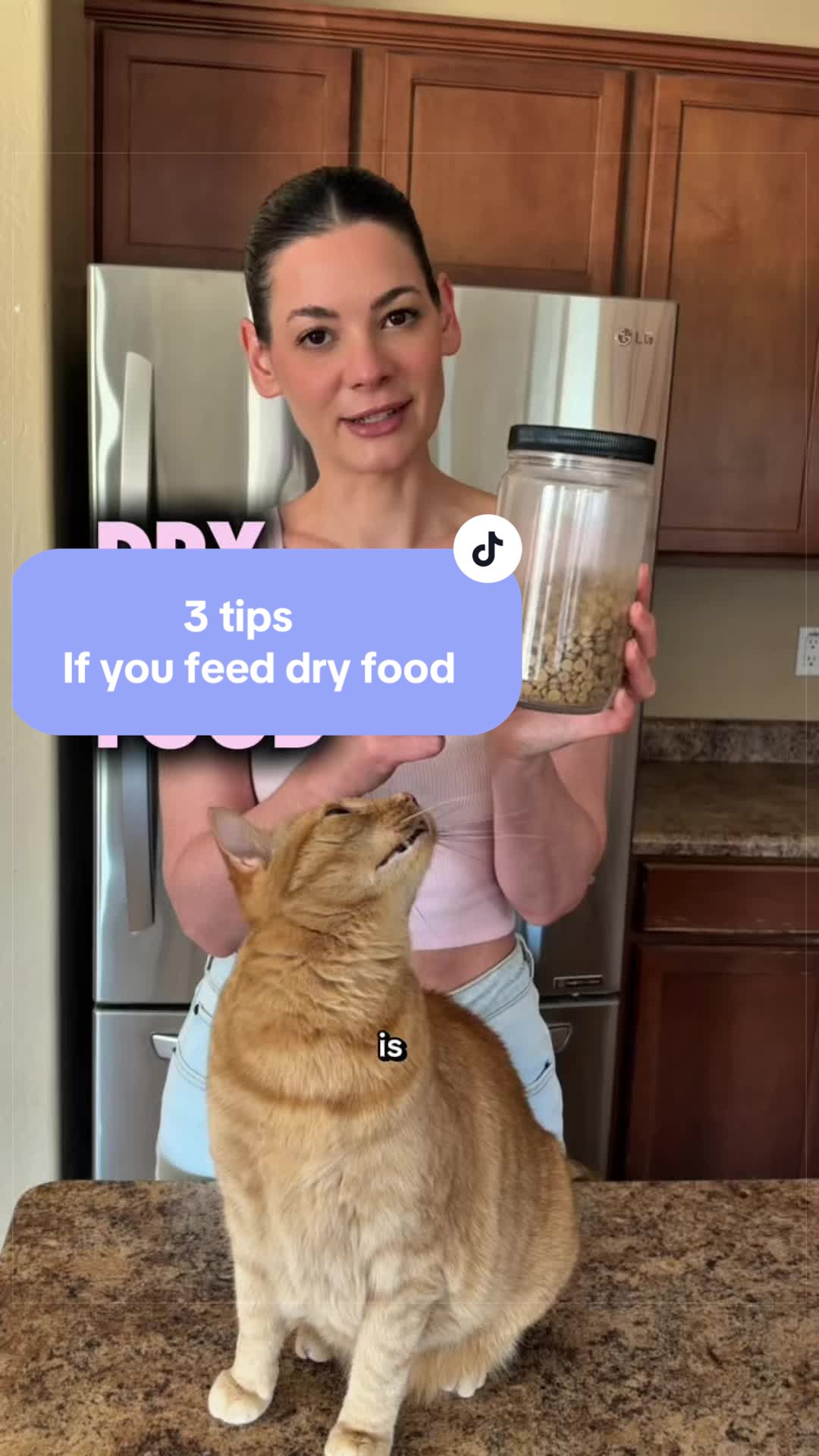 @Feminist Kitty | Cat Nutrition