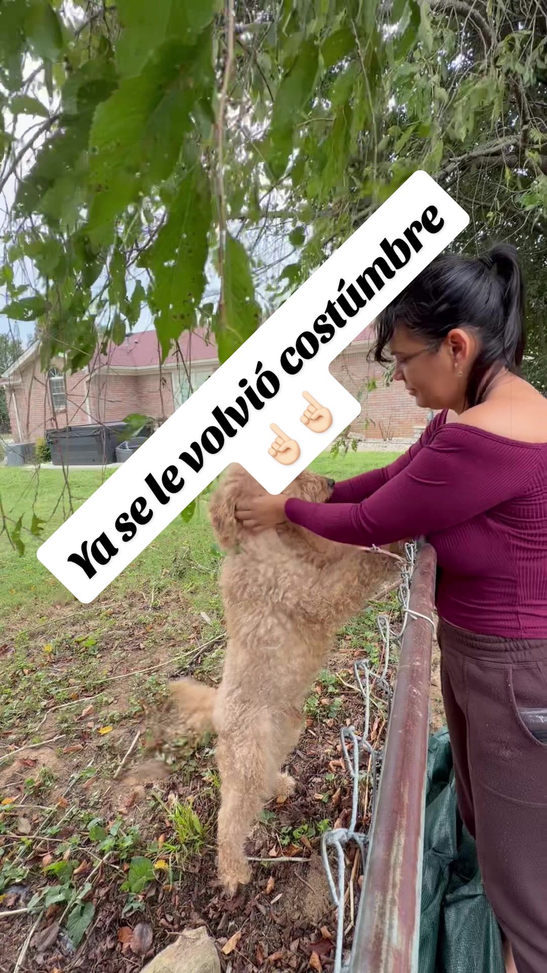 @Elianne Martinez