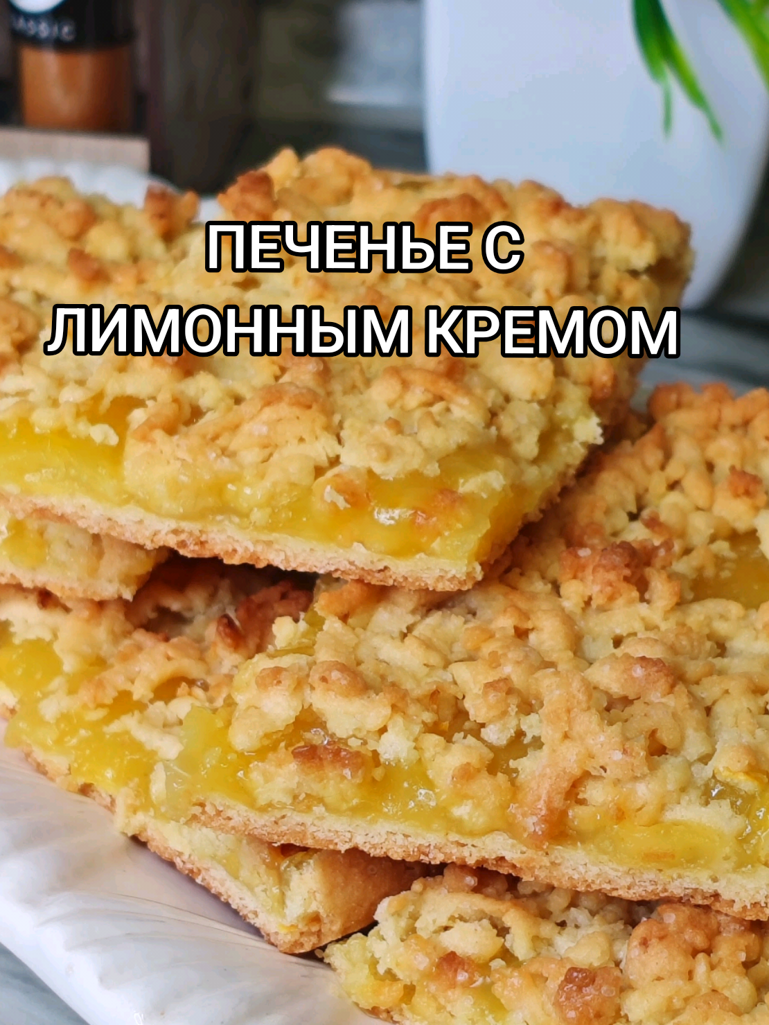 @Galina