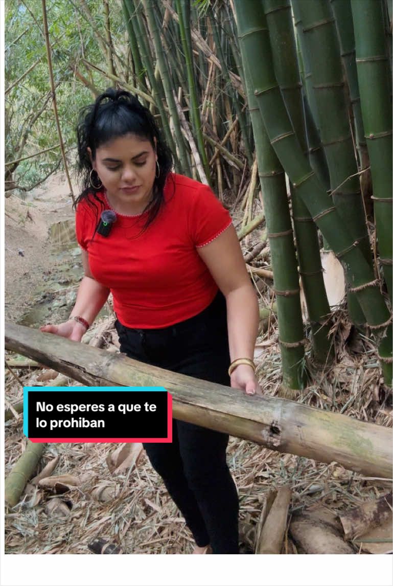@CABEPILIJJOI.COM